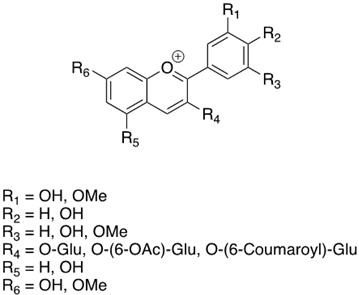 Antibiotics 13 00697 i001