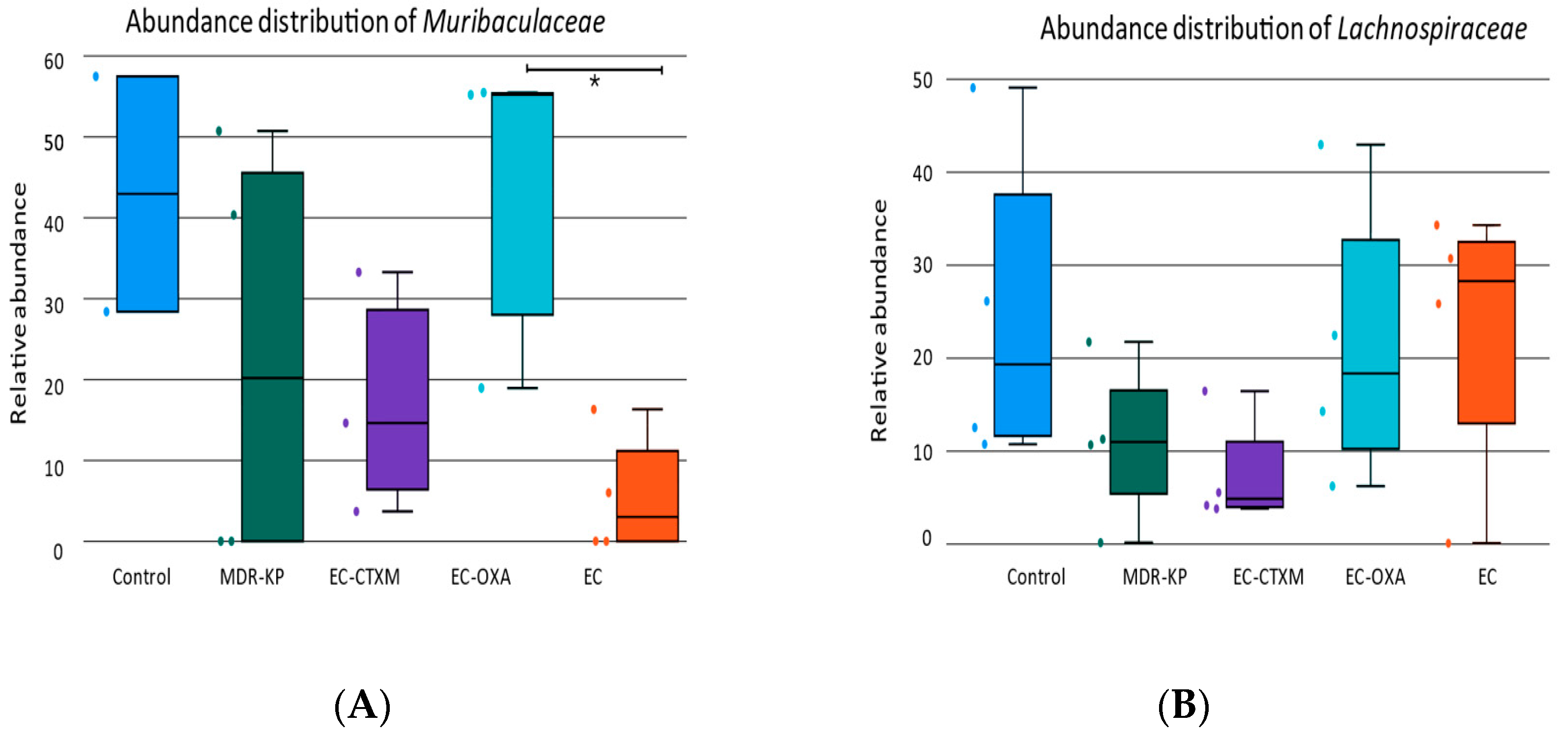 Antibiotics 13 00698 g005