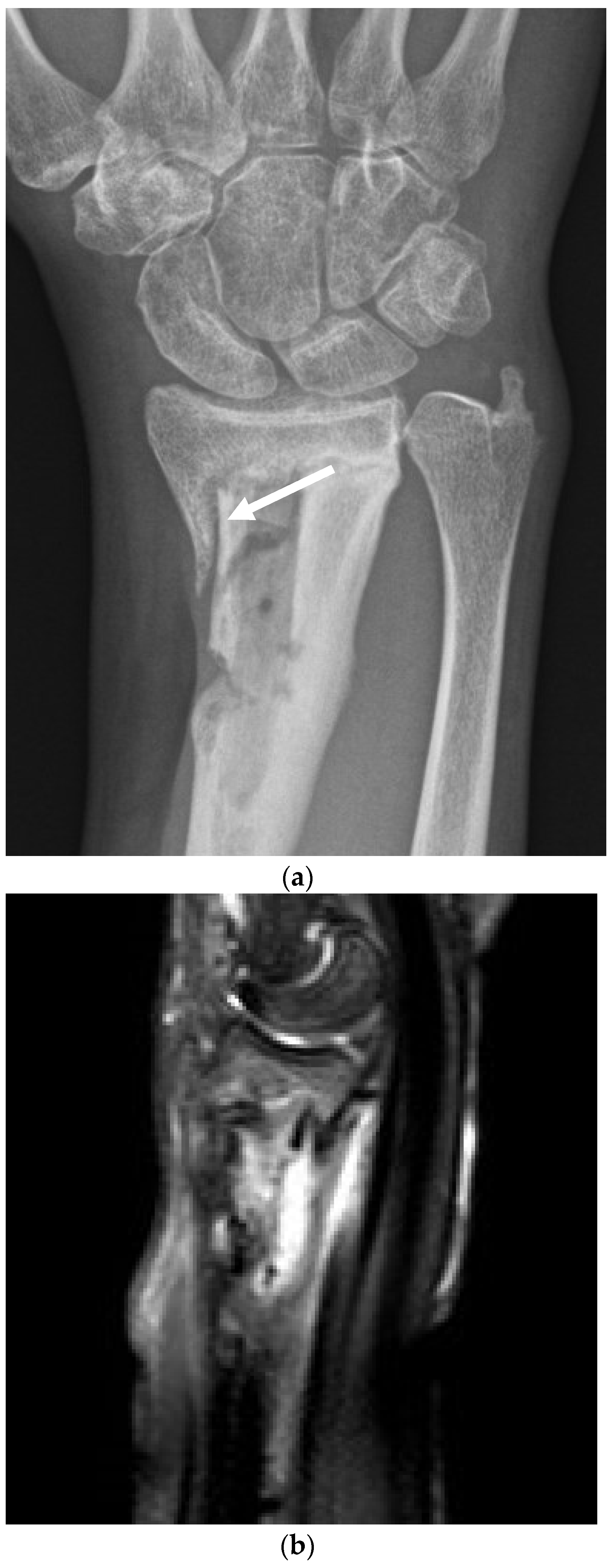 Antibiotics 13 00703 g002a