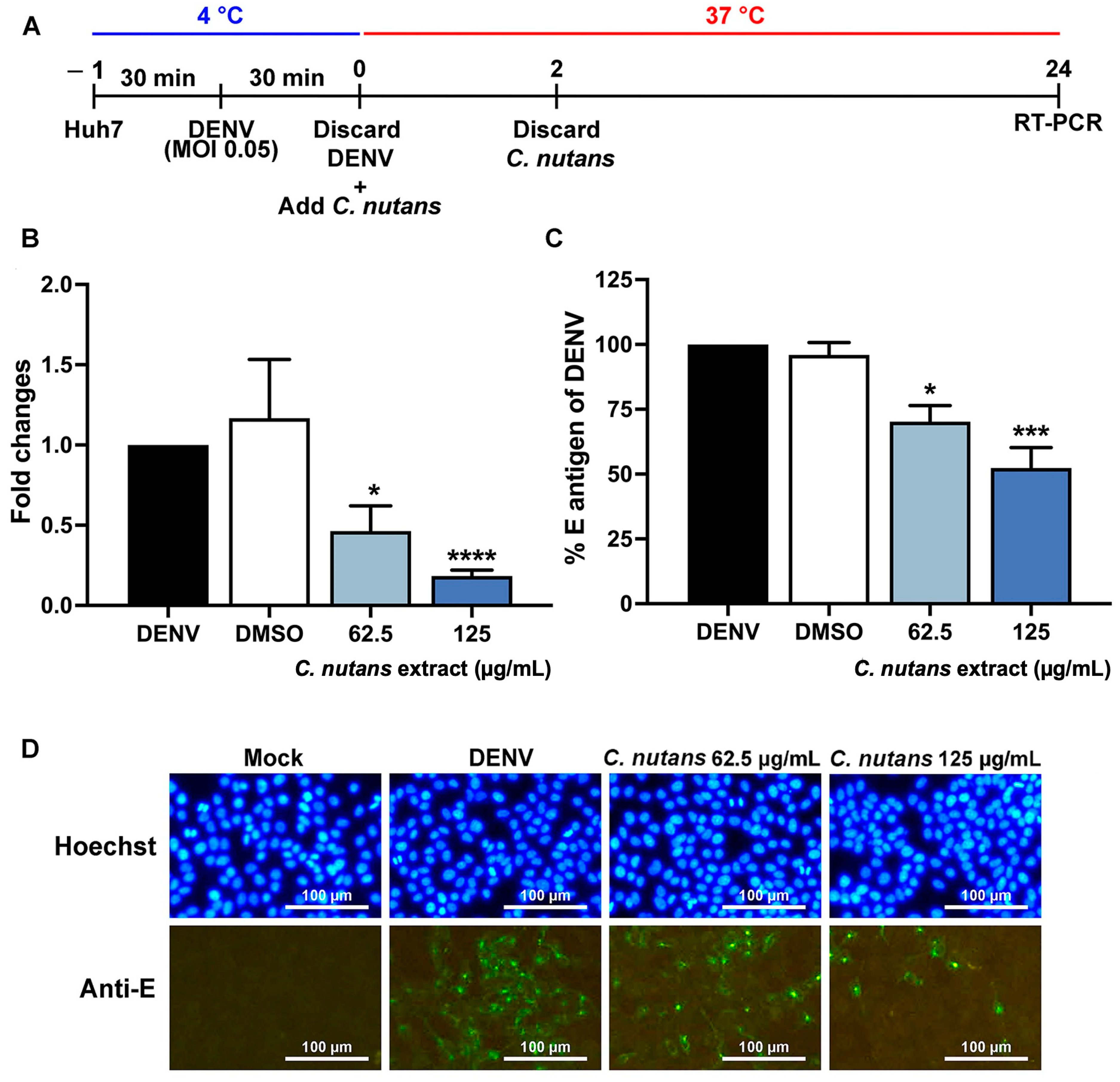 Antibiotics 13 00705 g002