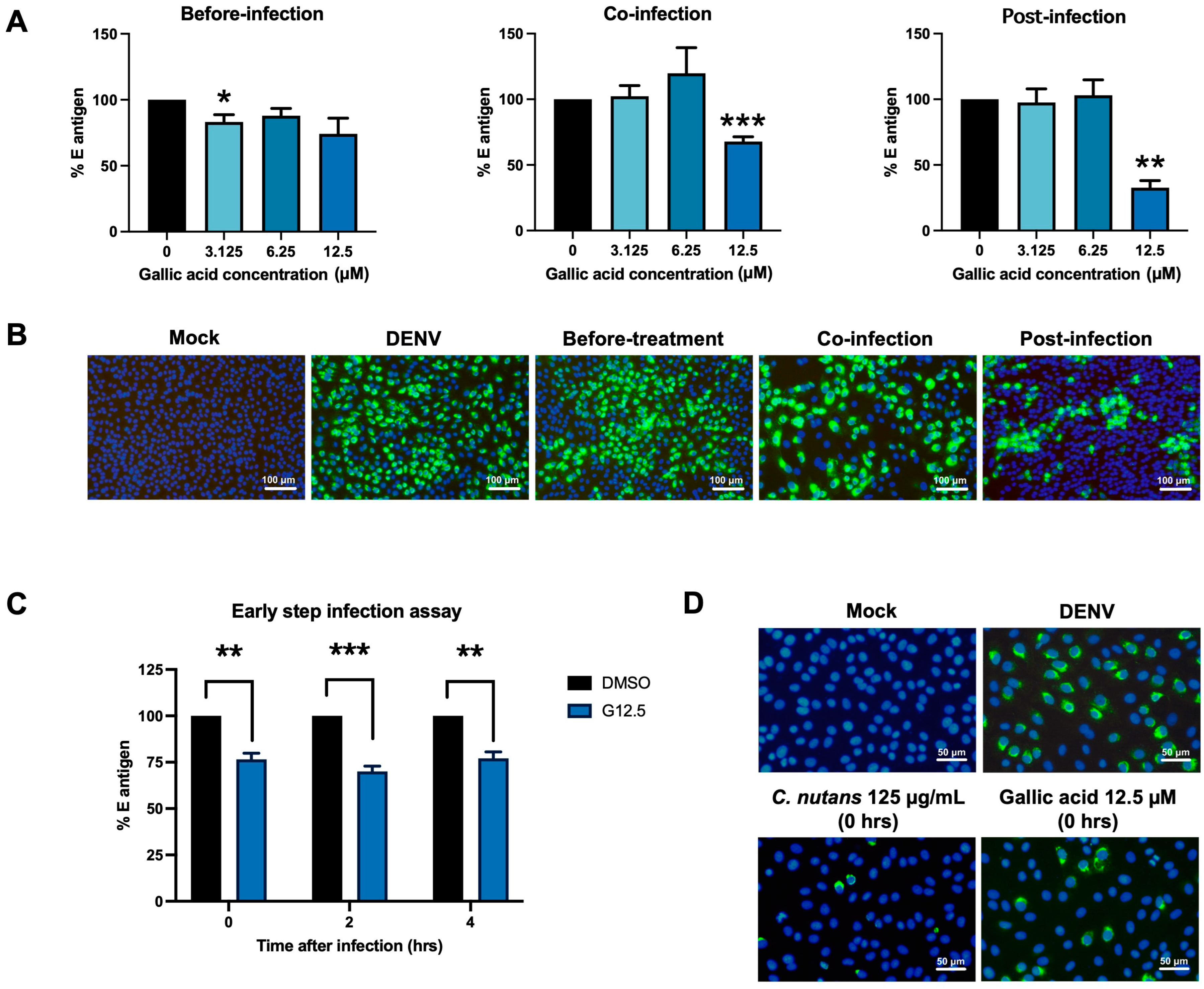 Antibiotics 13 00705 g007