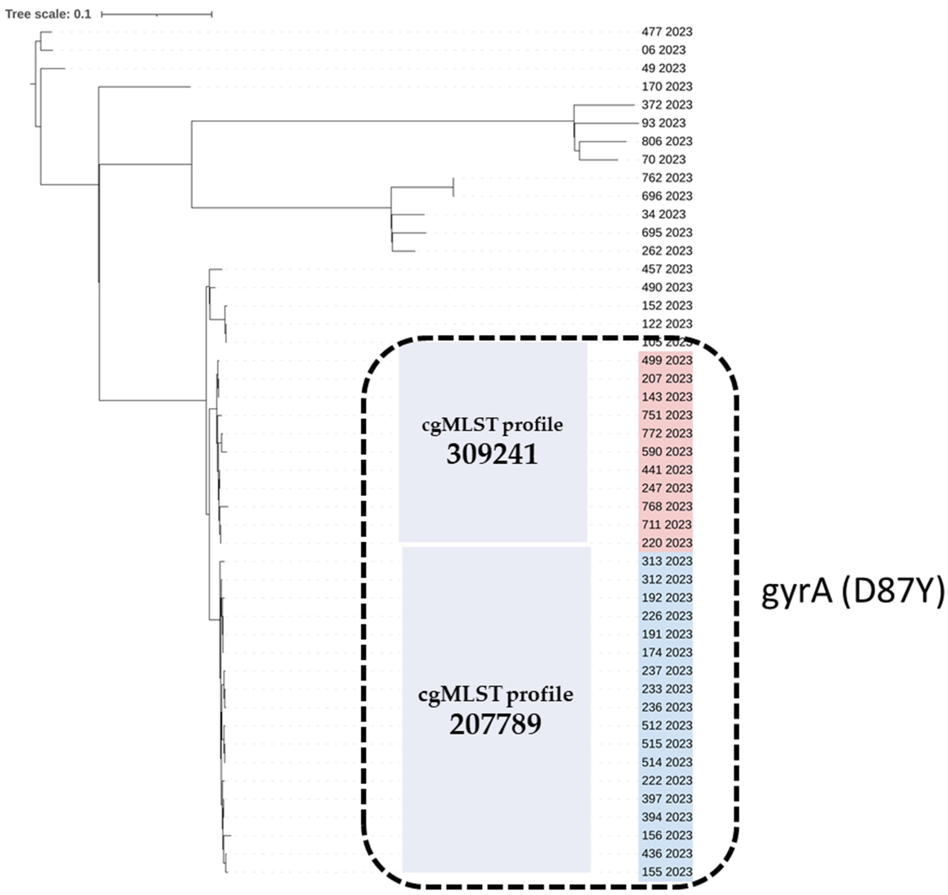 Antibiotics 13 00708 g002