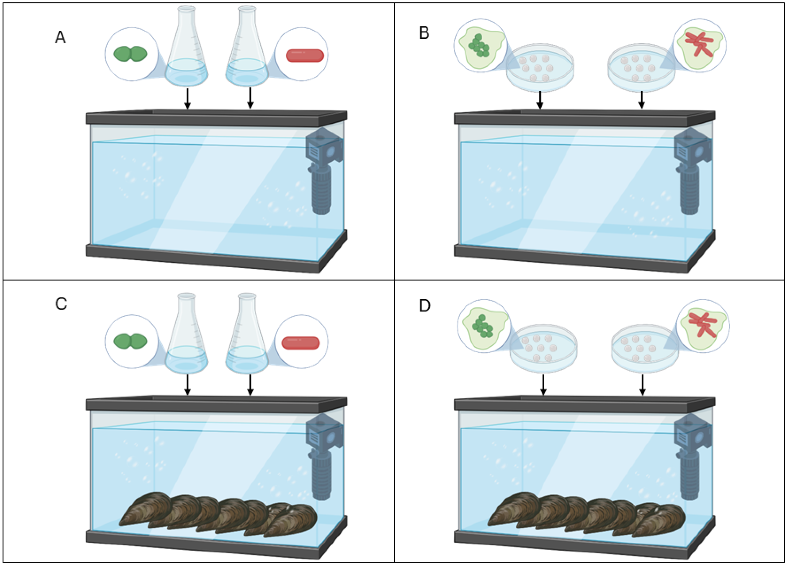 Antibiotics 13 00727 g002