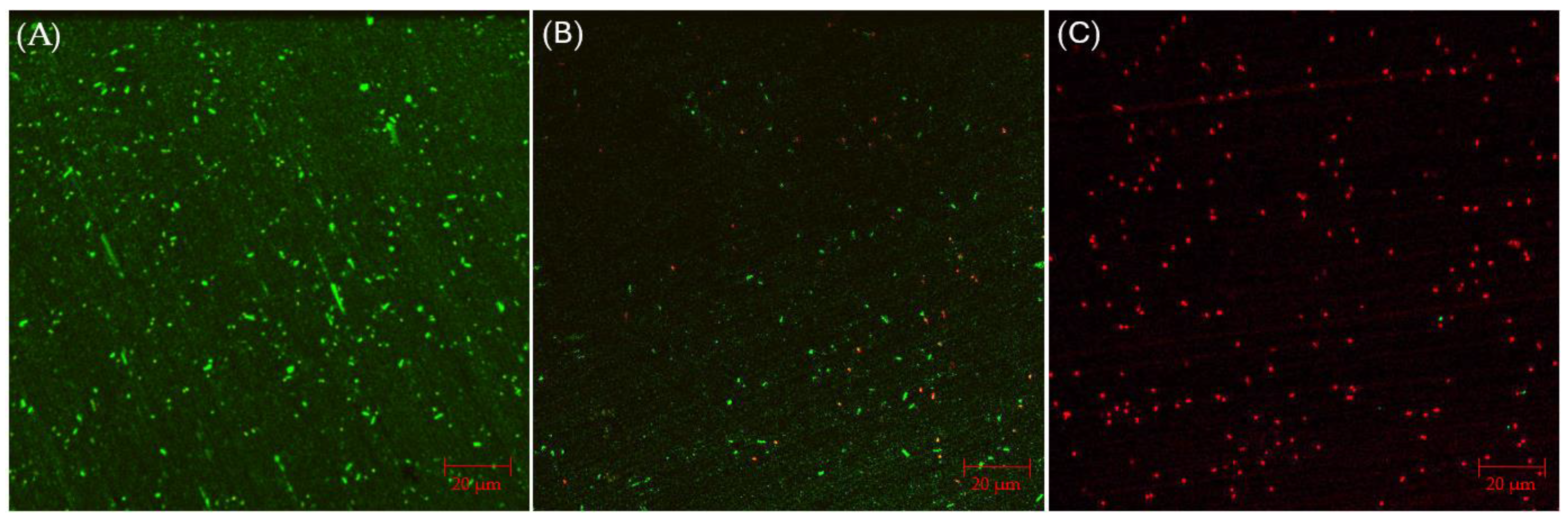 Antibiotics 13 00728 g002