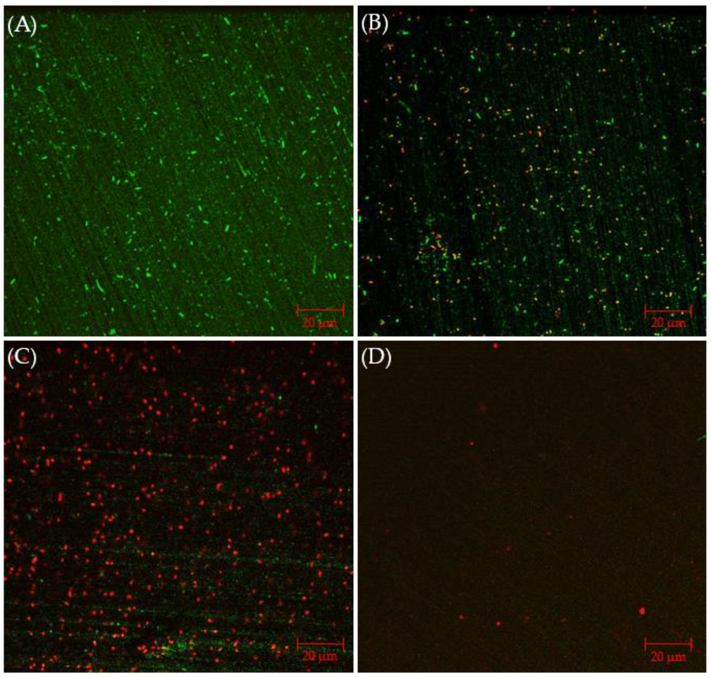 Antibiotics 13 00728 g006