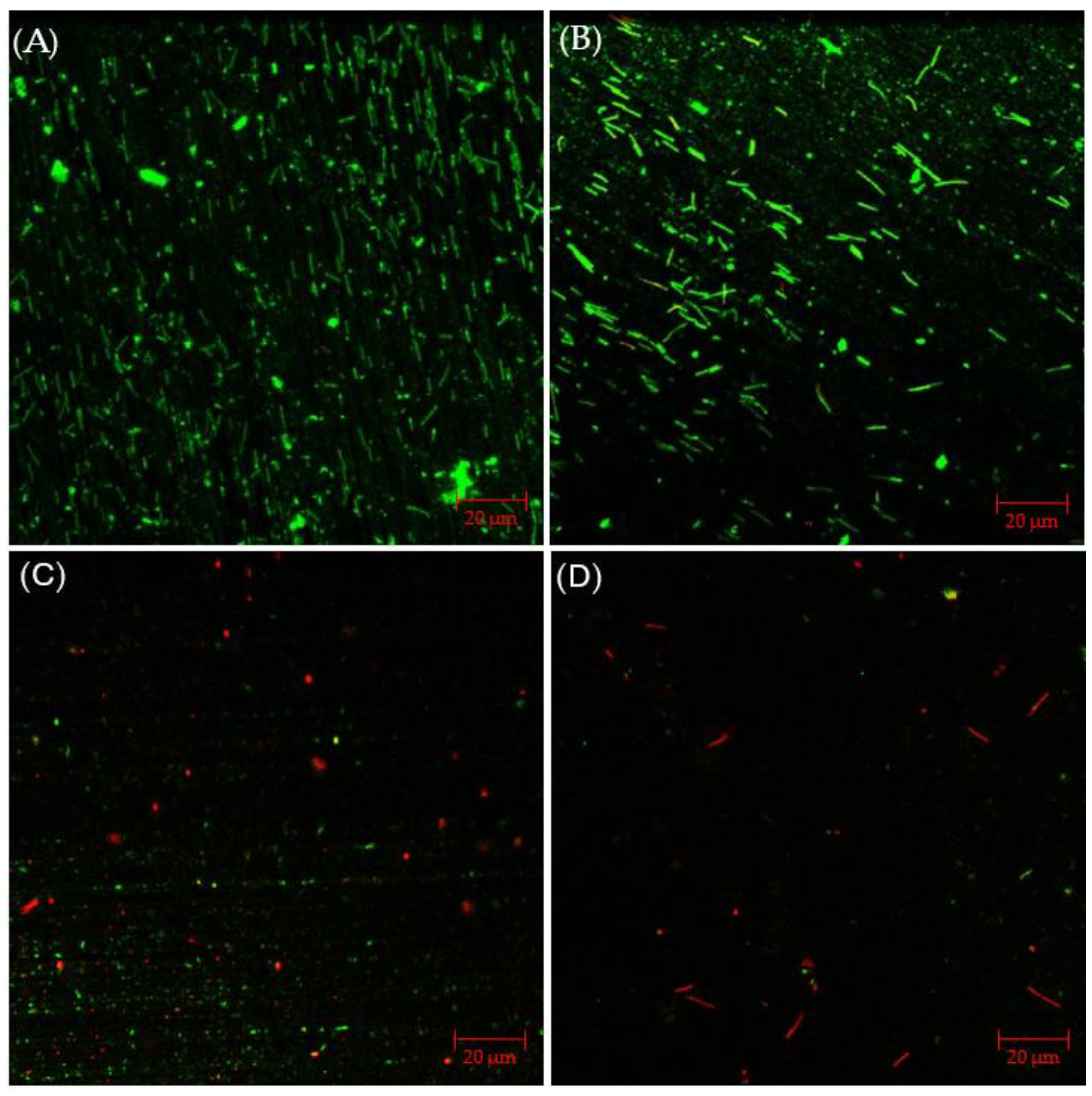 Antibiotics 13 00728 g009