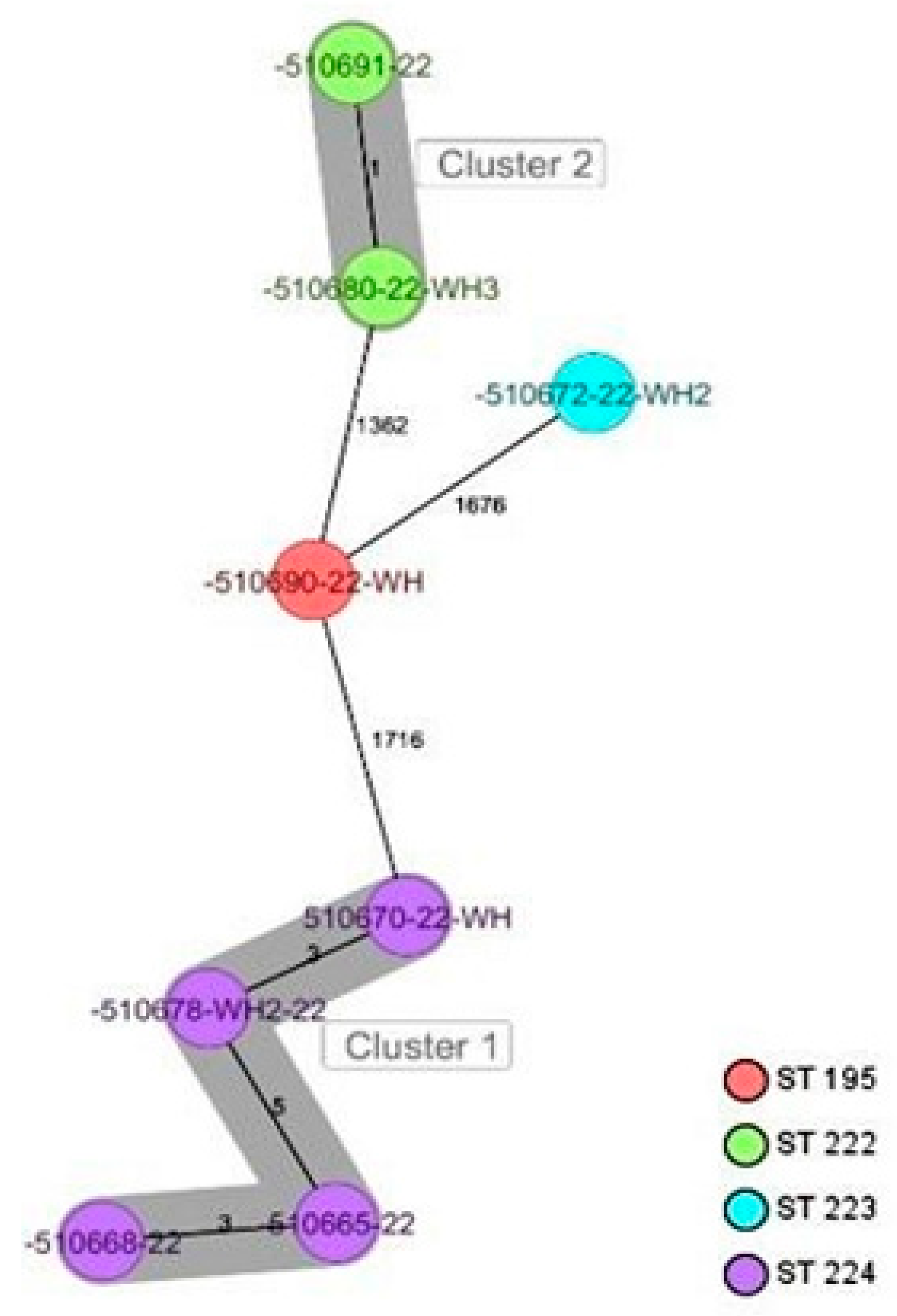 Antibiotics 13 00733 g004 Antibiotics 13 00733 g004