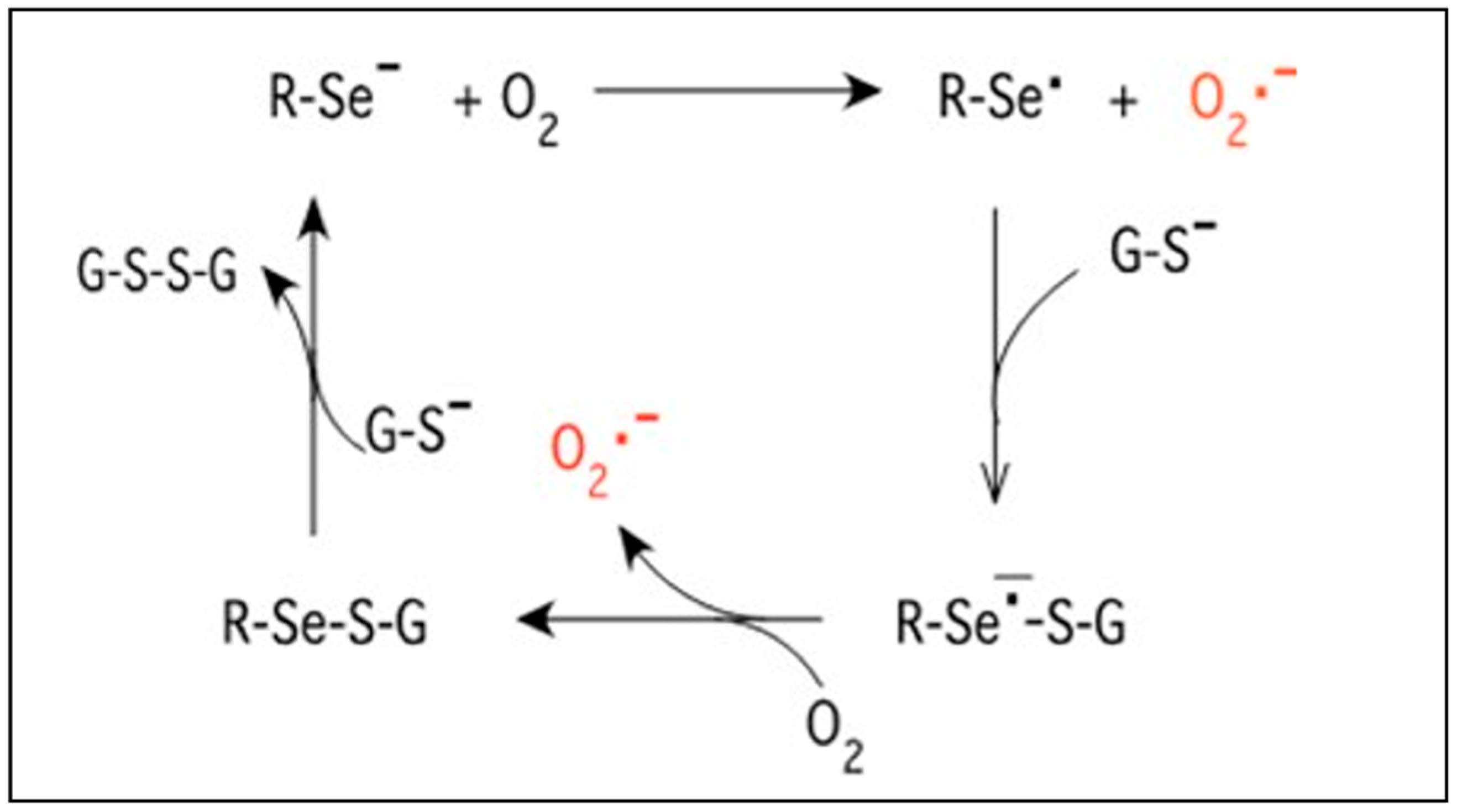 Antibiotics 13 00736 g001