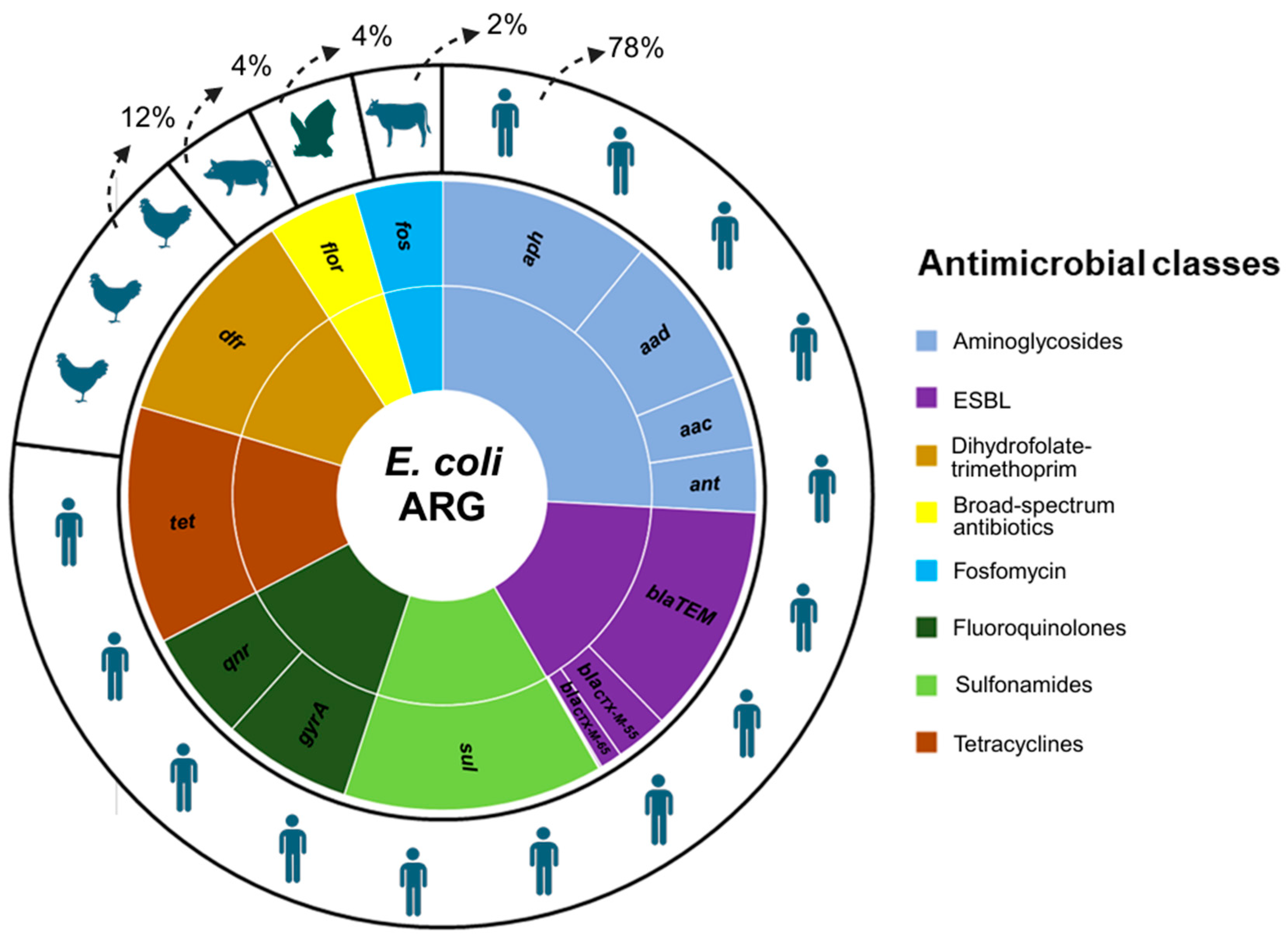 Antibiotics 13 00737 g001 Antibiotics 13 00737 g001
