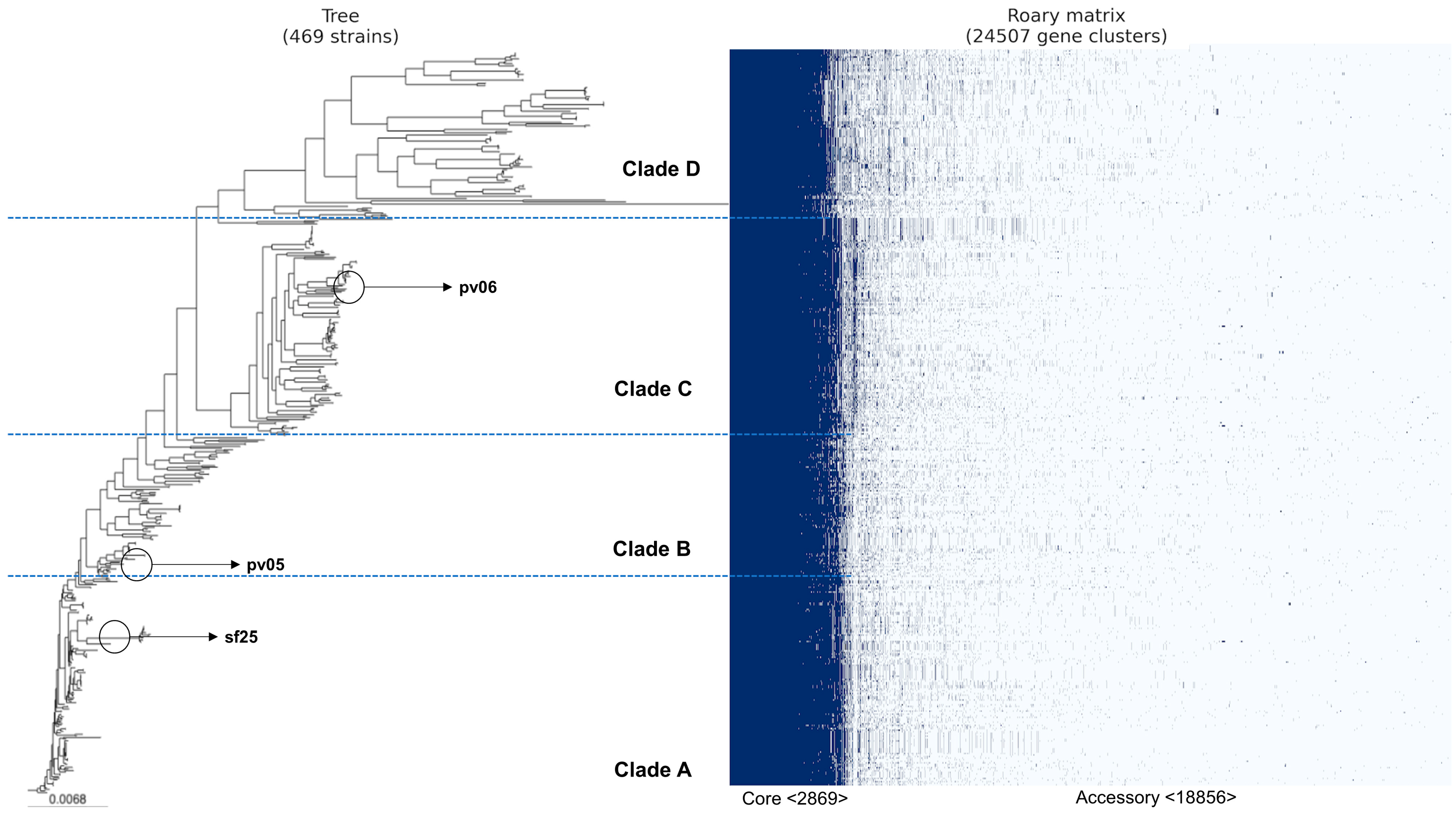 Antibiotics 13 00737 g002 Antibiotics 13 00737 g002