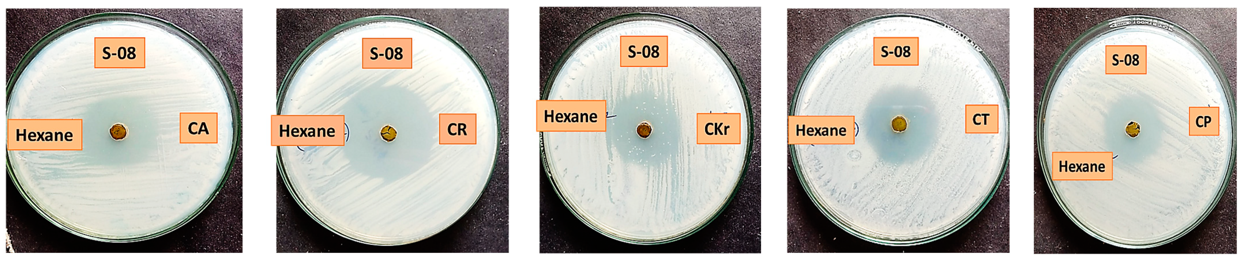 Antibiotics 13 00748 g003 Antibiotics 13 00748 g003