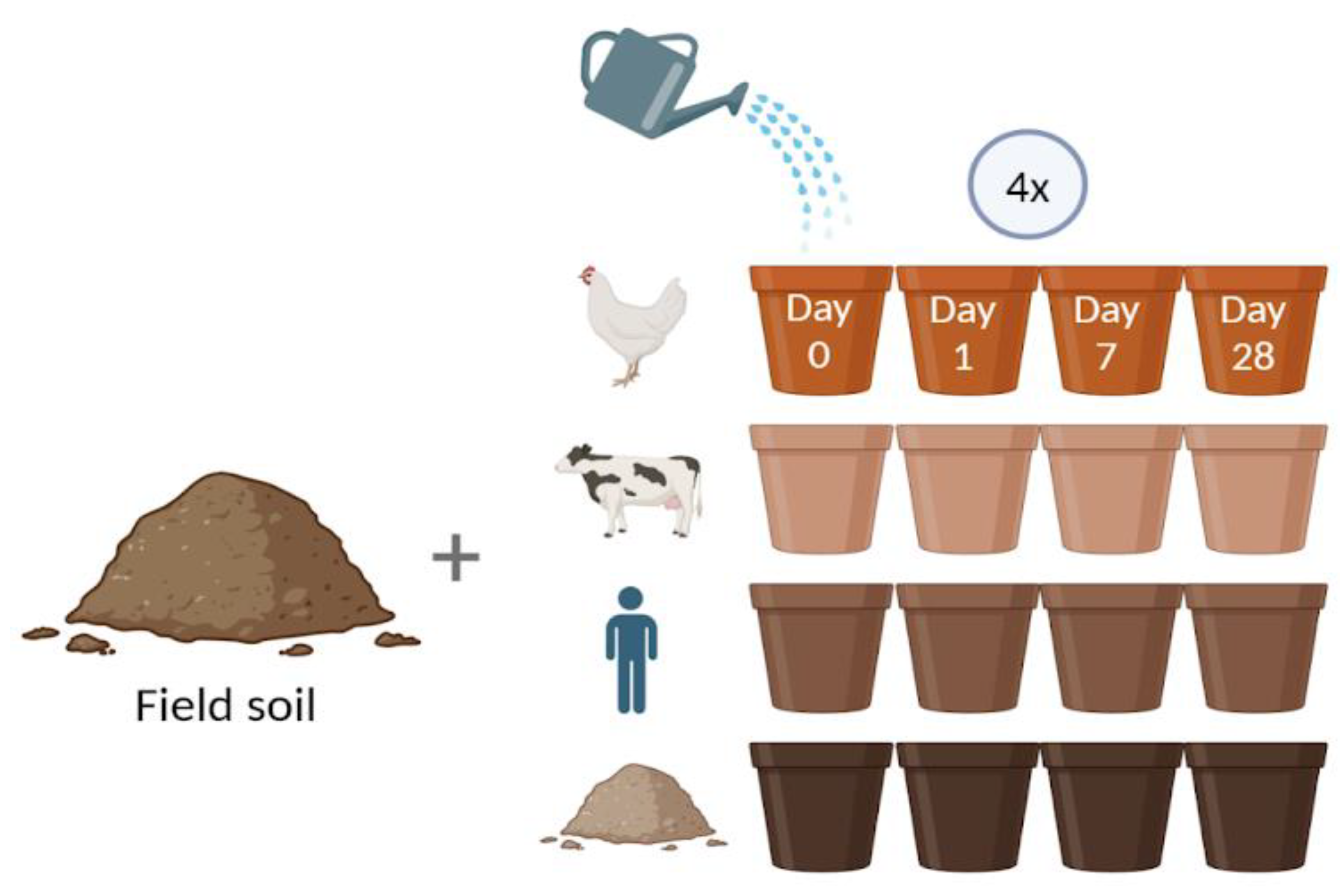 Antibiotics 13 00750 g001