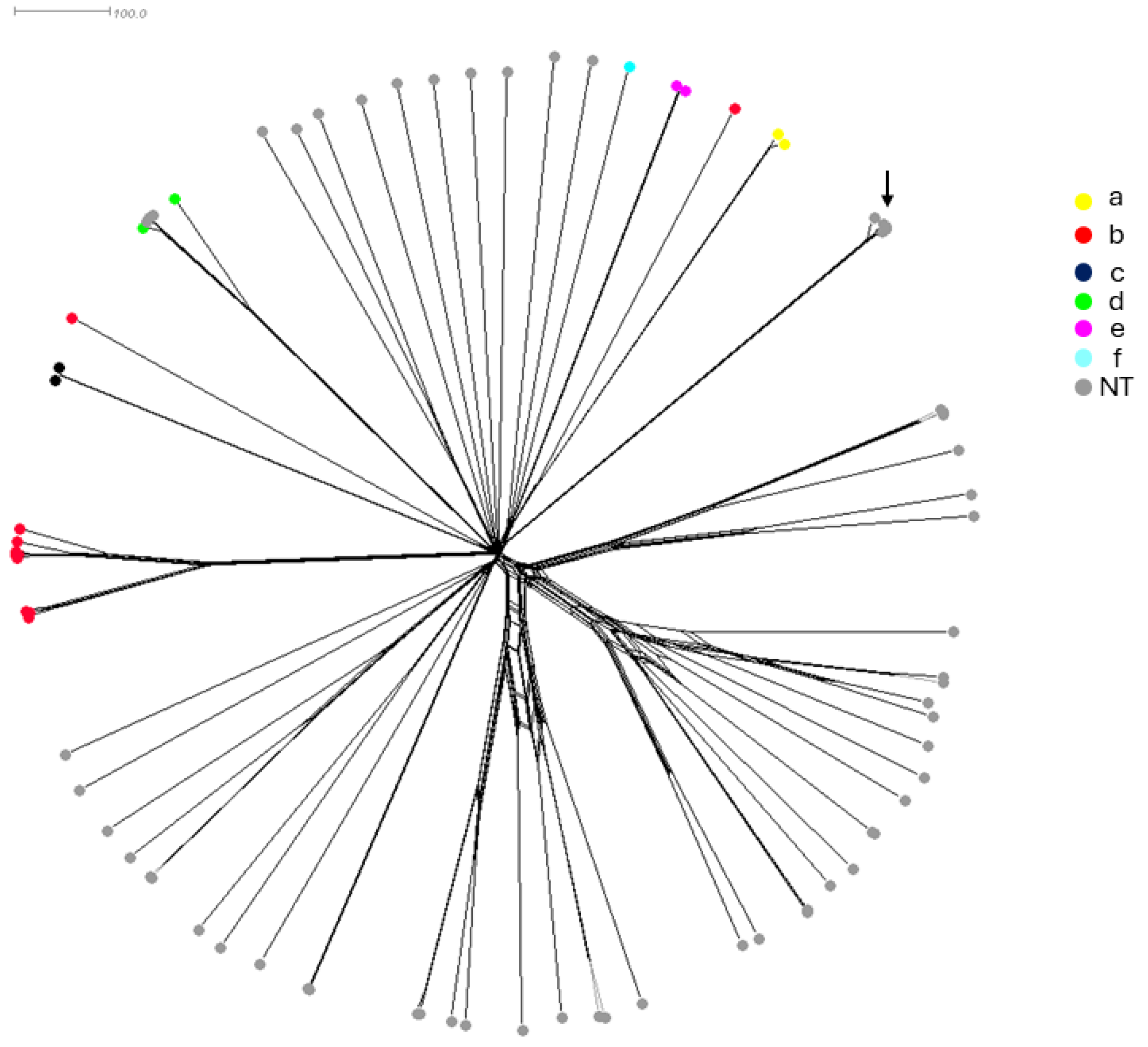 Antibiotics 13 00761 g002