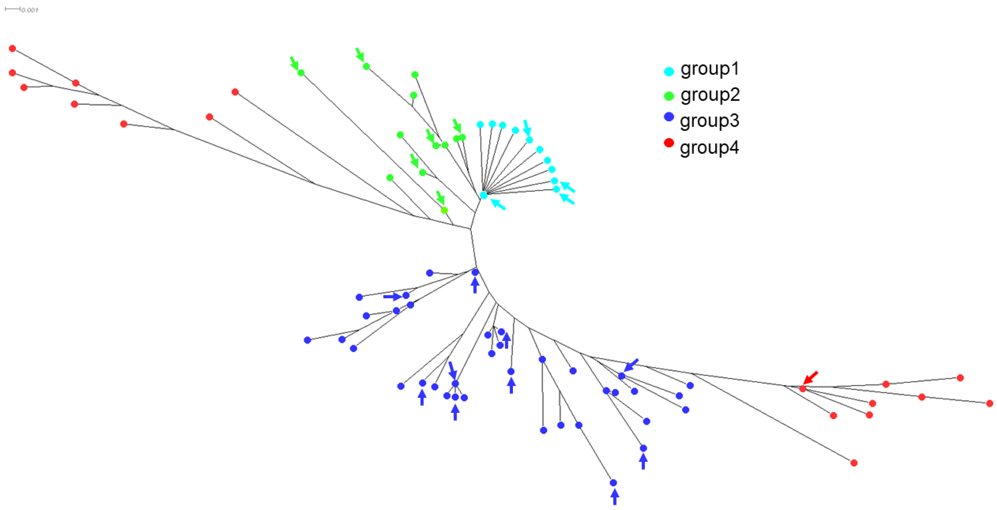 Antibiotics 13 00761 g004