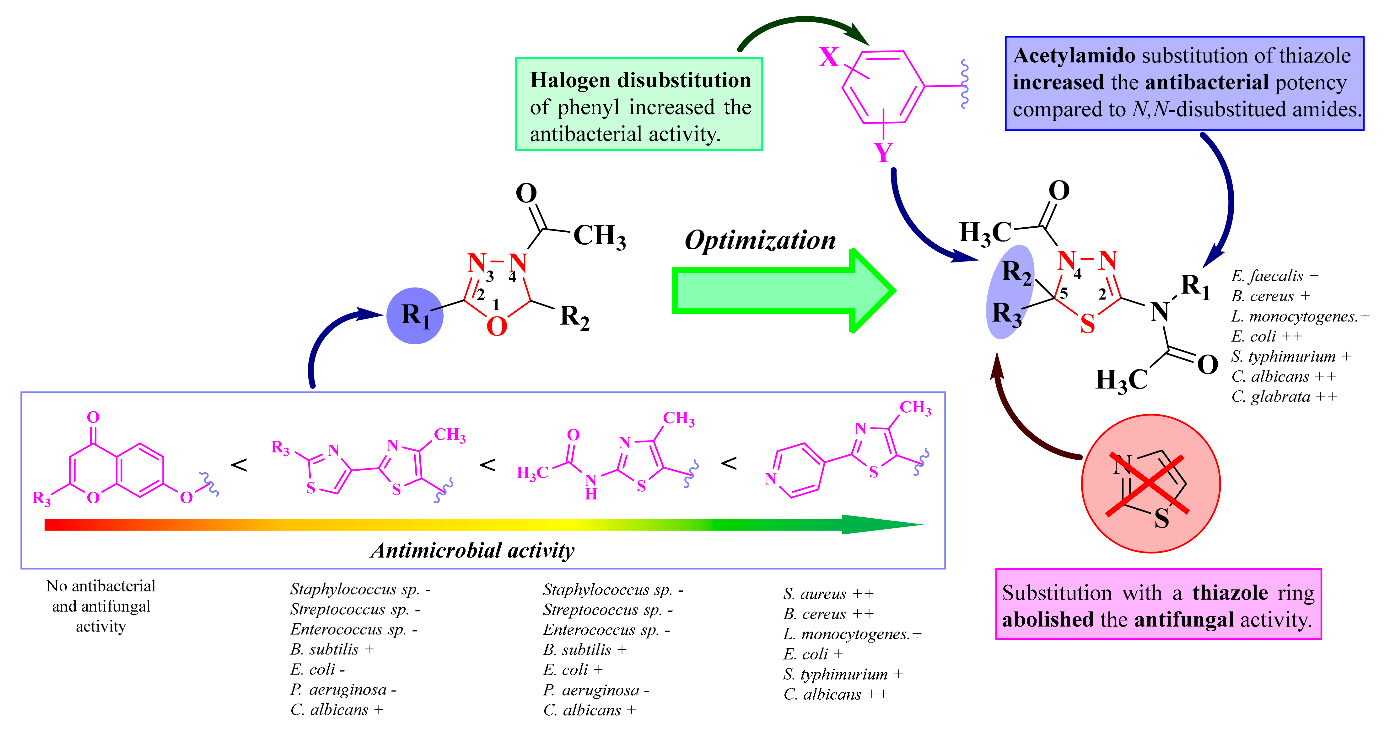 Antibiotics 13 00763 g008
