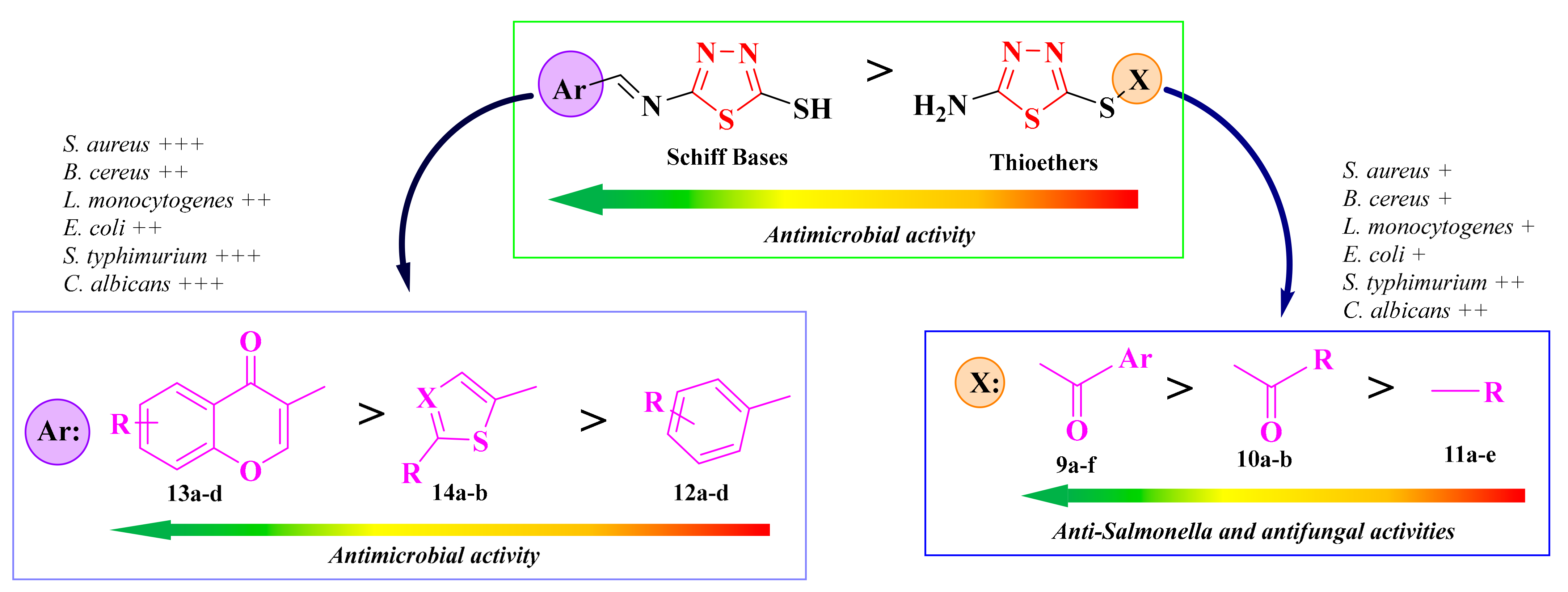 Antibiotics 13 00763 g009