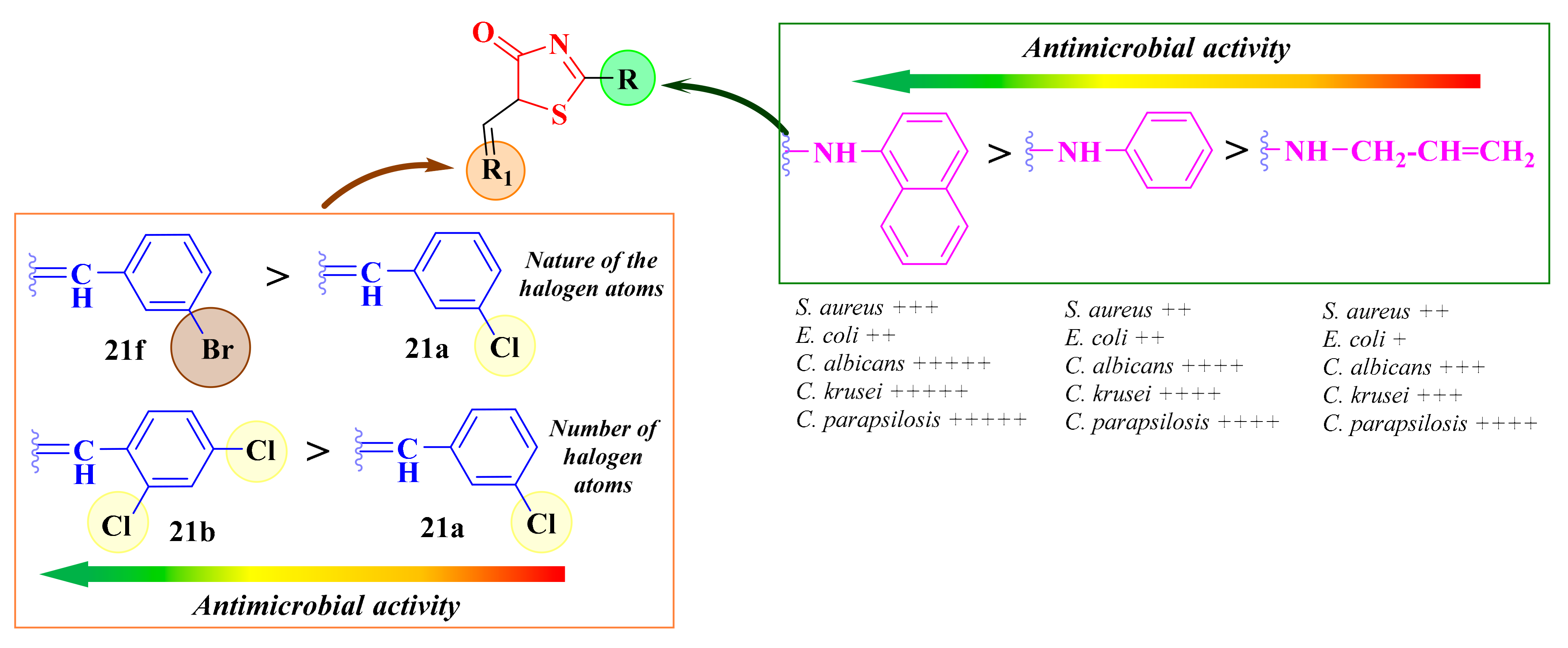 Antibiotics 13 00763 g014