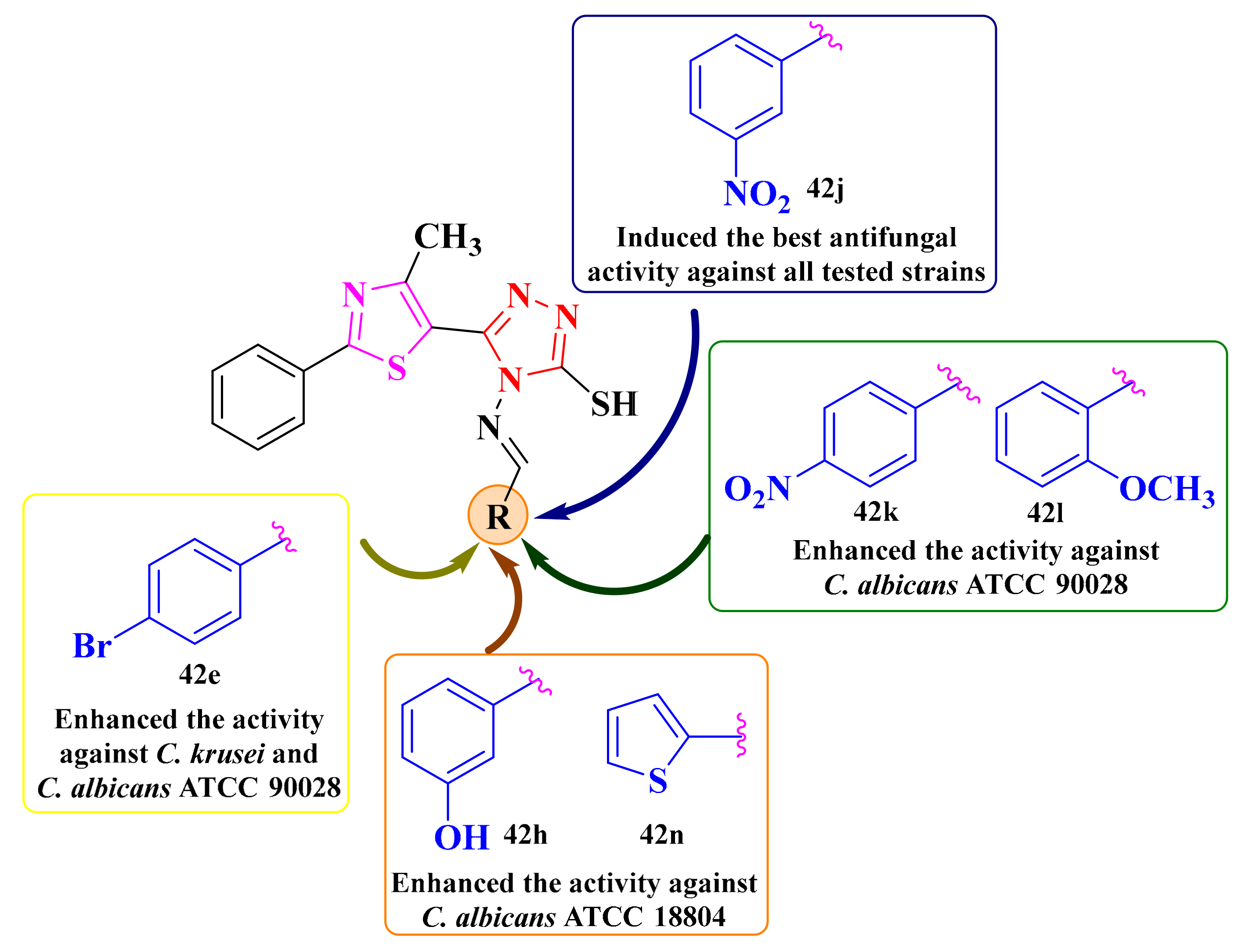 Antibiotics 13 00763 g017