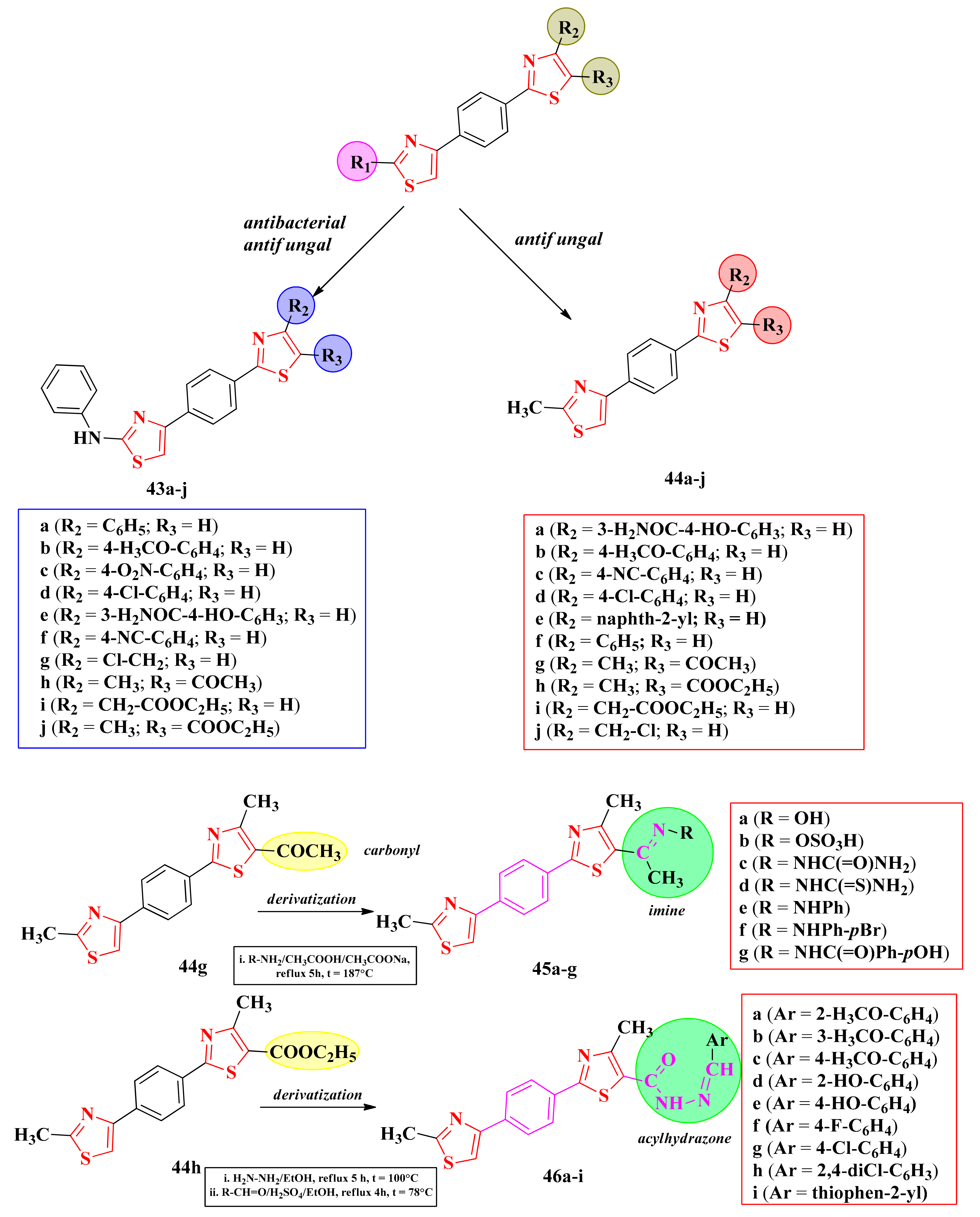 Antibiotics 13 00763 g019