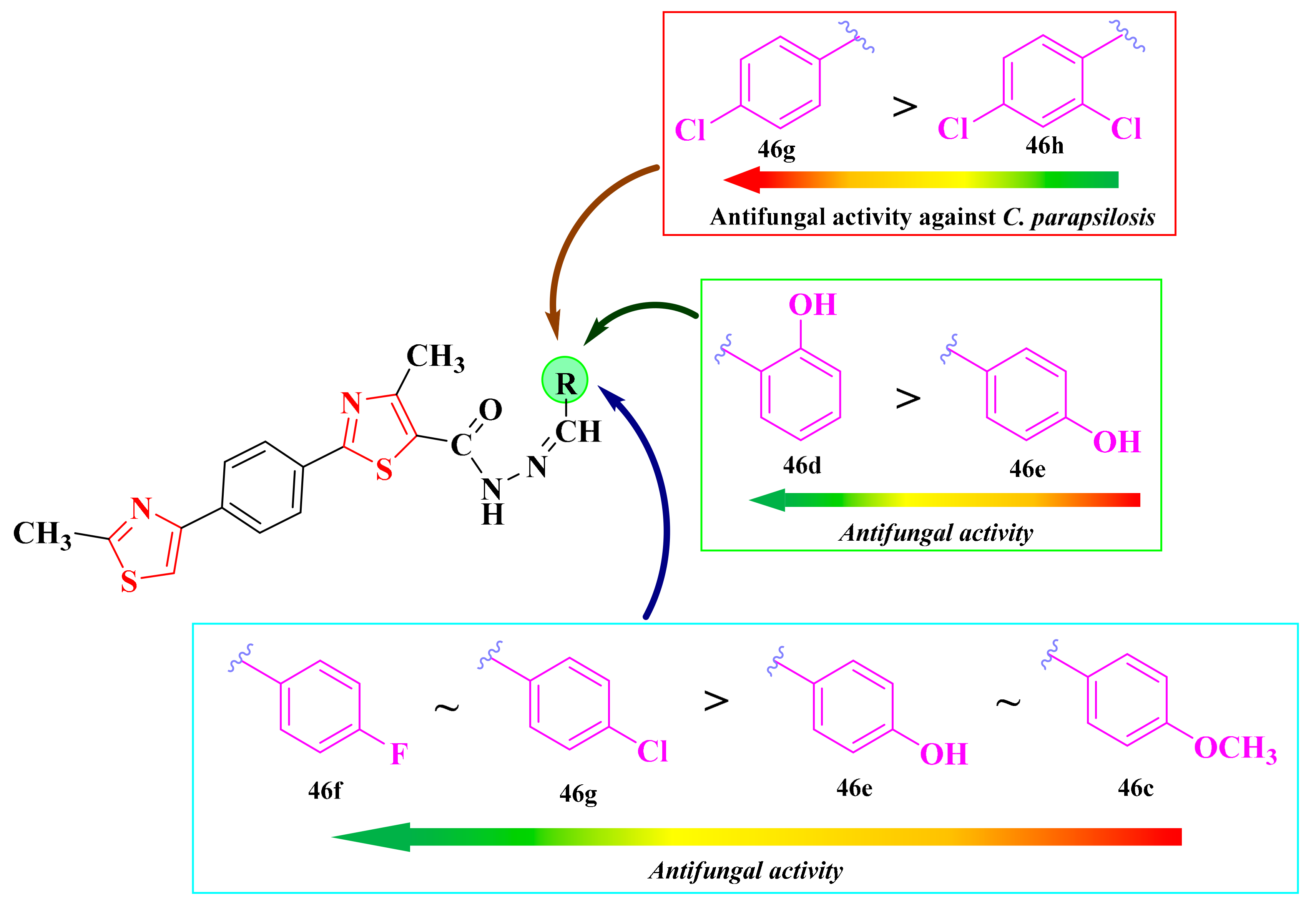 Antibiotics 13 00763 g020