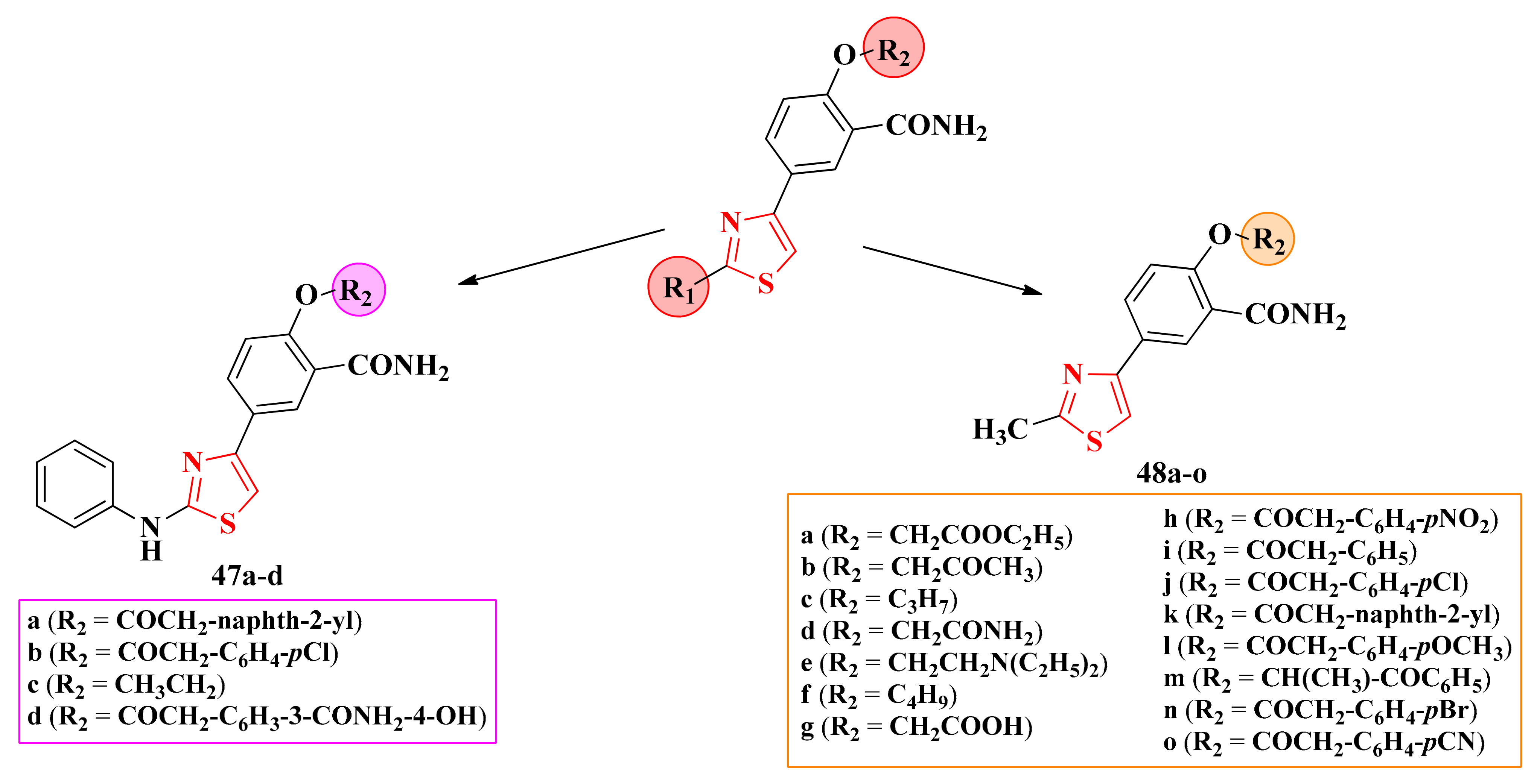 Antibiotics 13 00763 g021