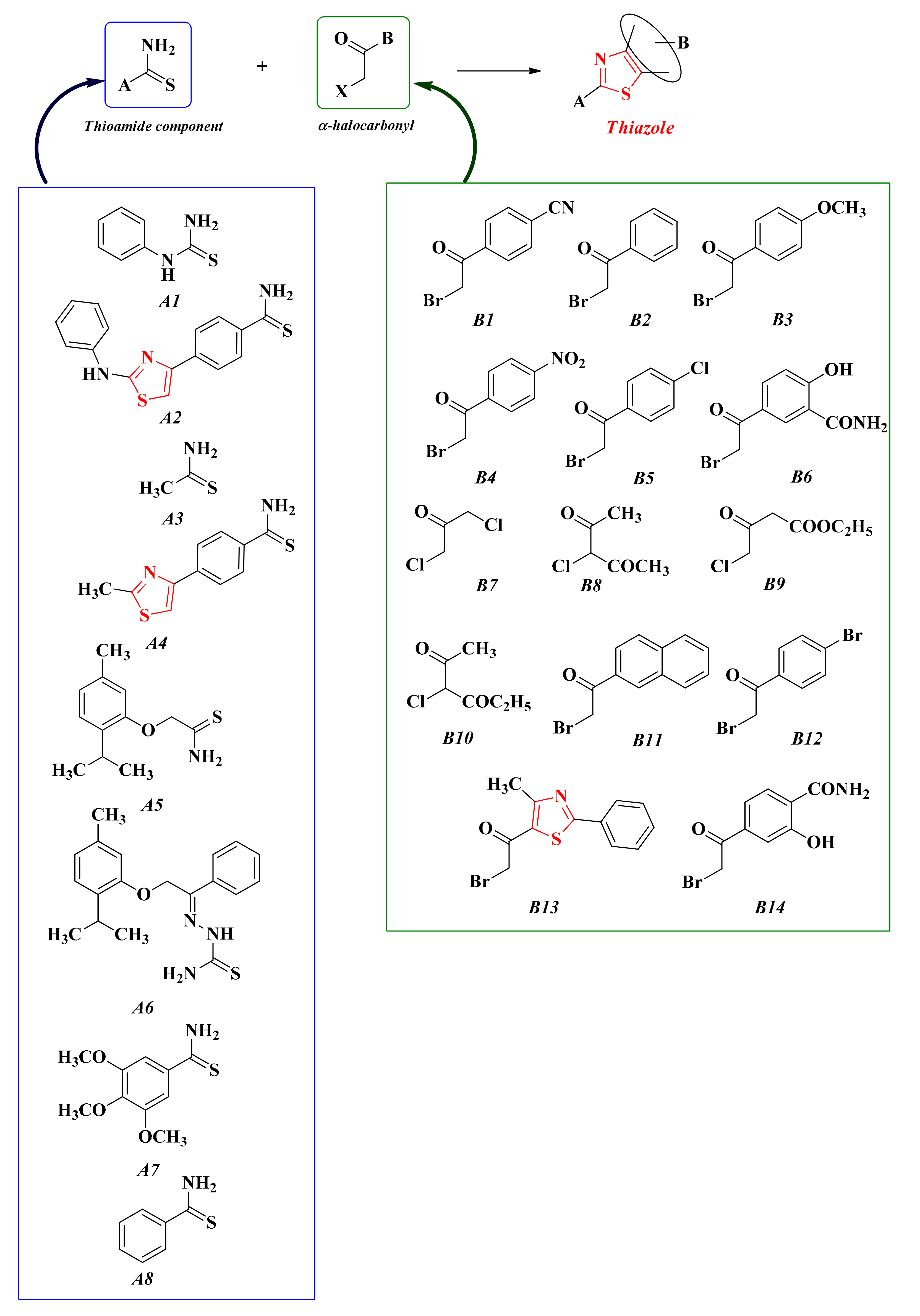 Antibiotics 13 00763 sch010