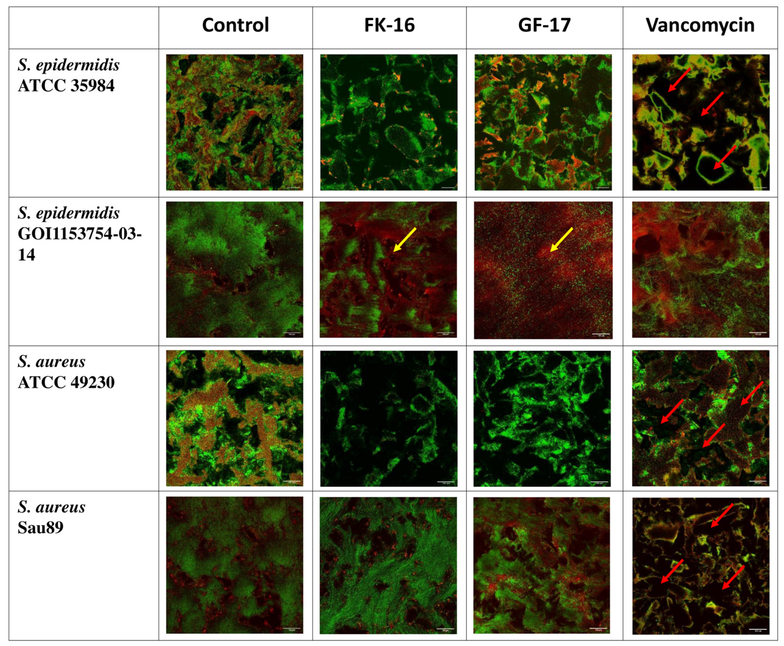 Antibiotics 13 00764 g005