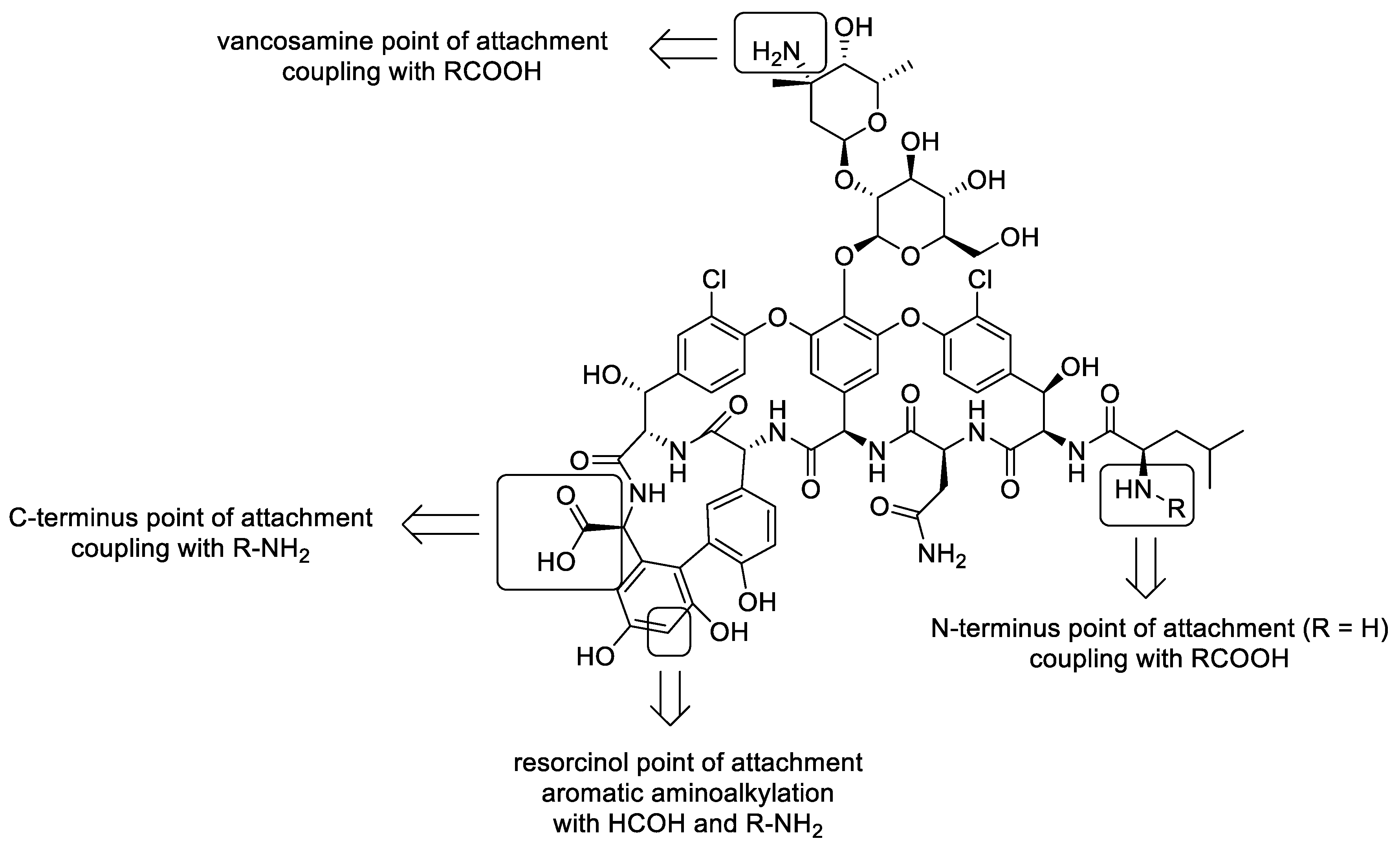 Antibiotics 13 00783 g002