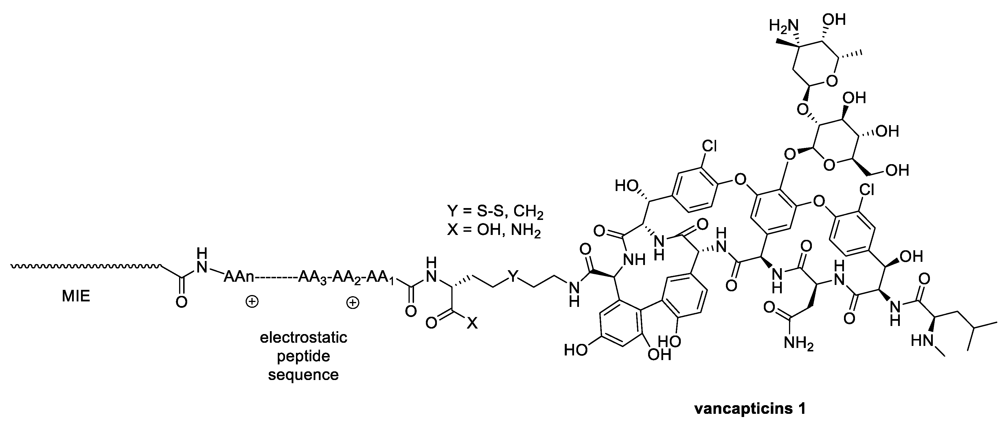 Antibiotics 13 00783 g003