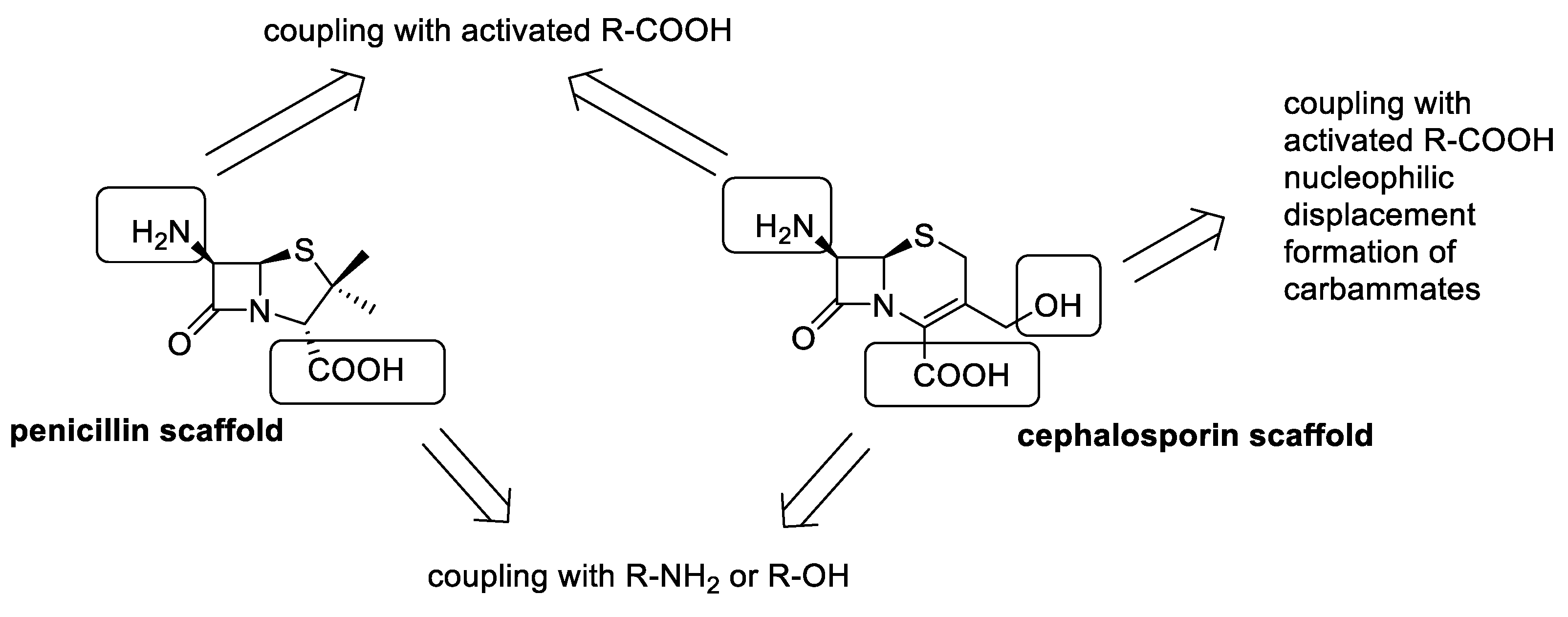 Antibiotics 13 00783 g005
