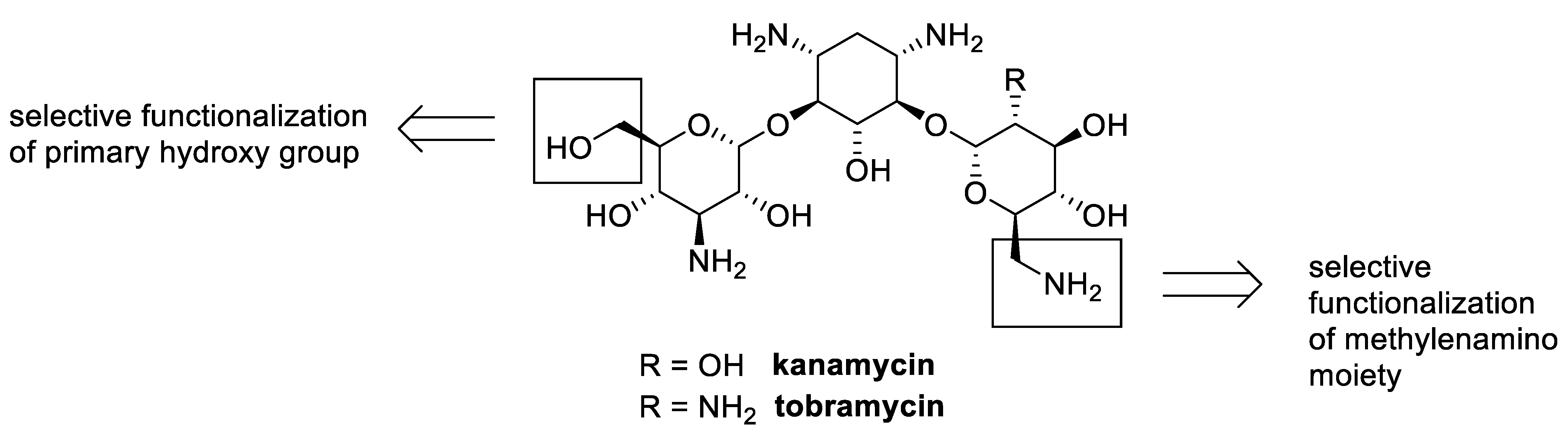 Antibiotics 13 00783 g006