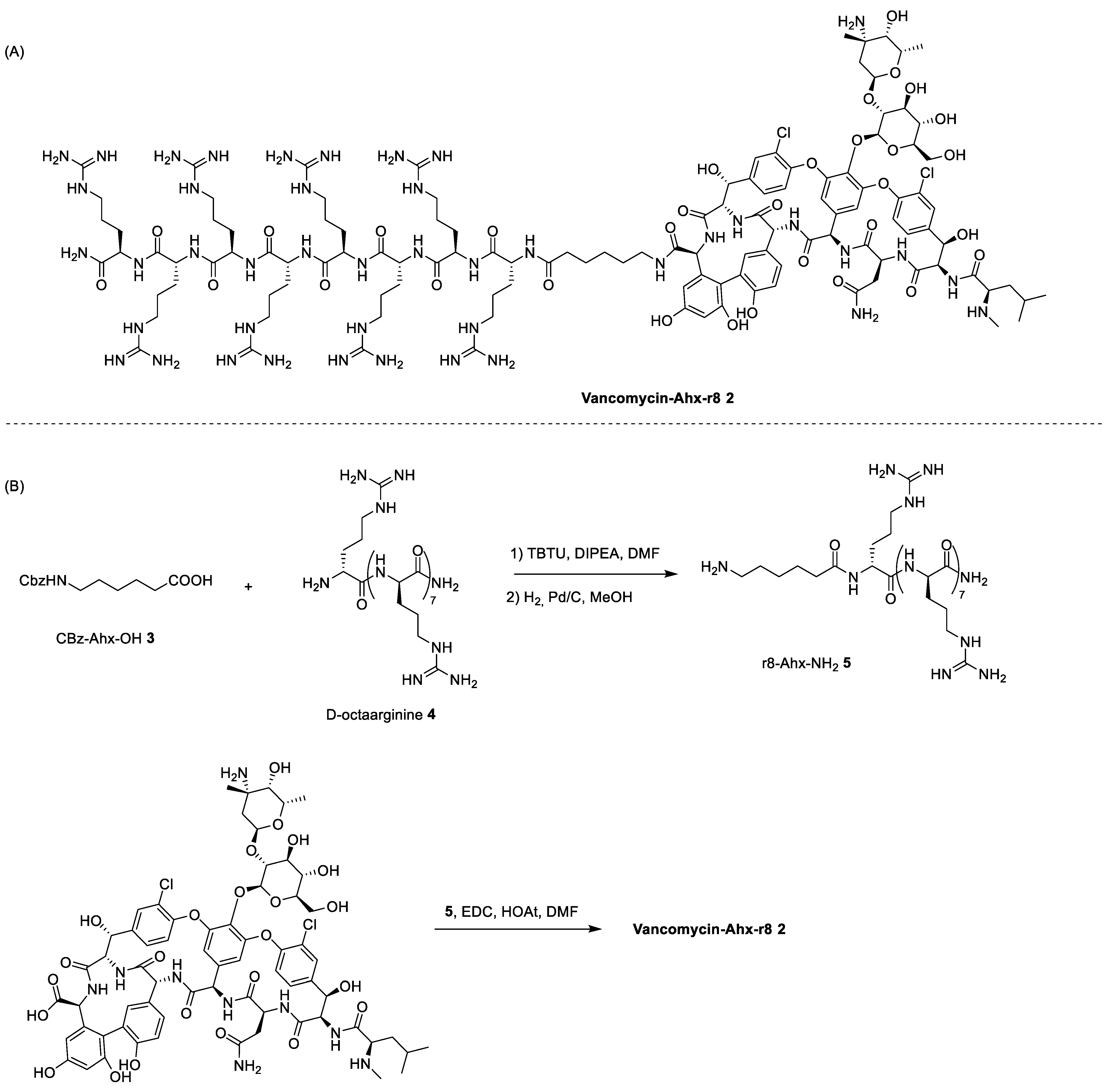 Antibiotics 13 00783 sch001