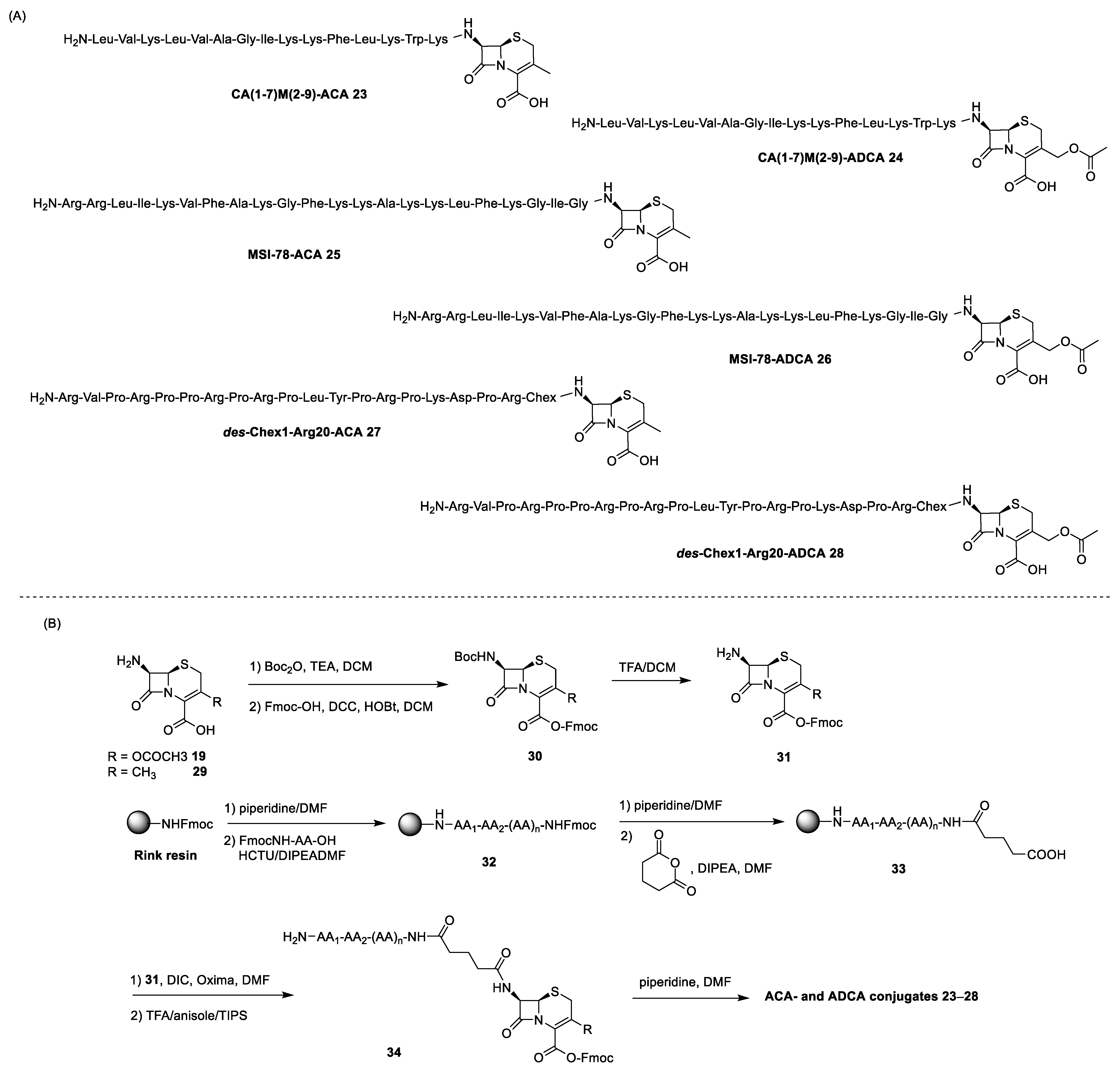 Antibiotics 13 00783 sch005