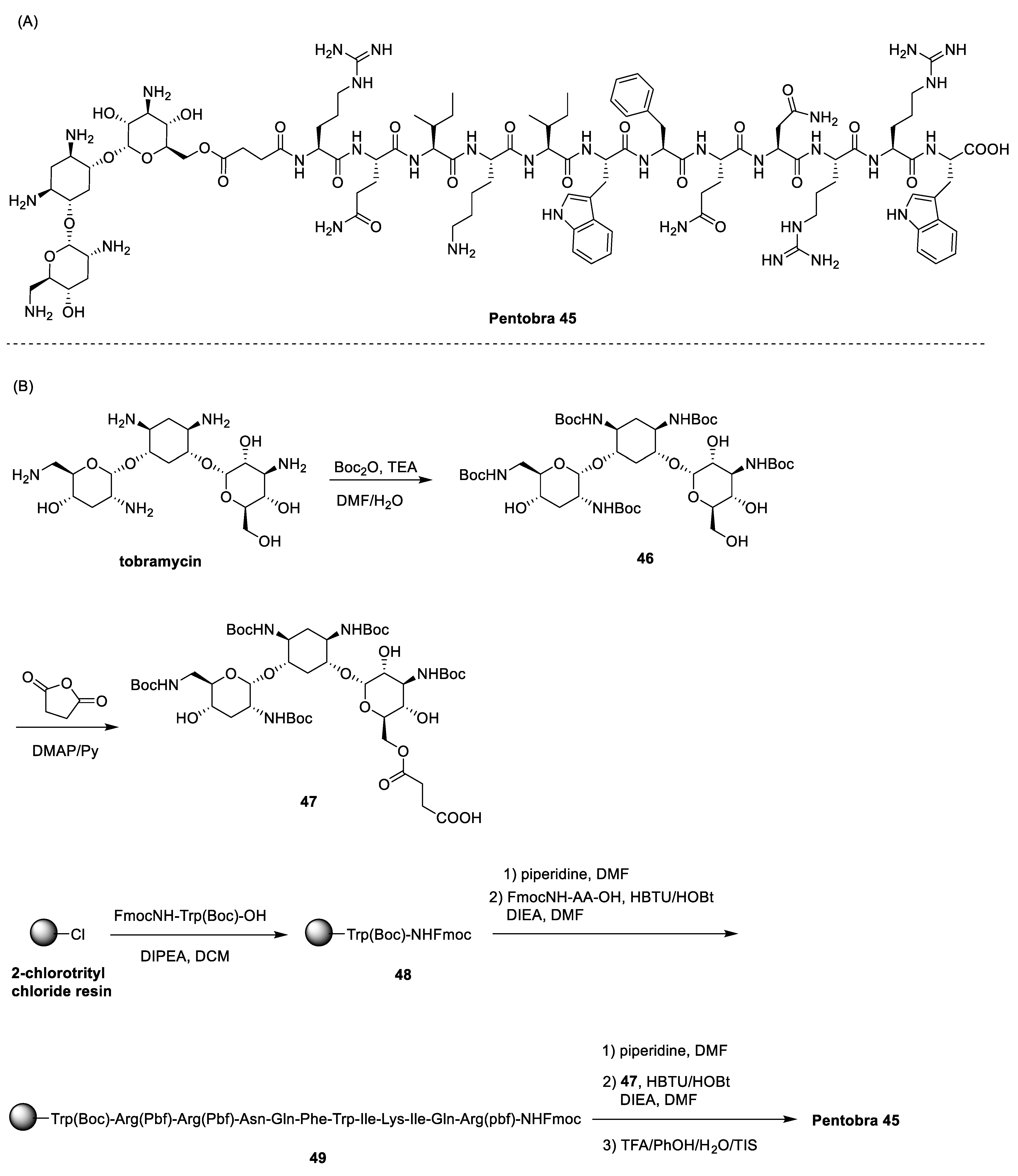 Antibiotics 13 00783 sch007