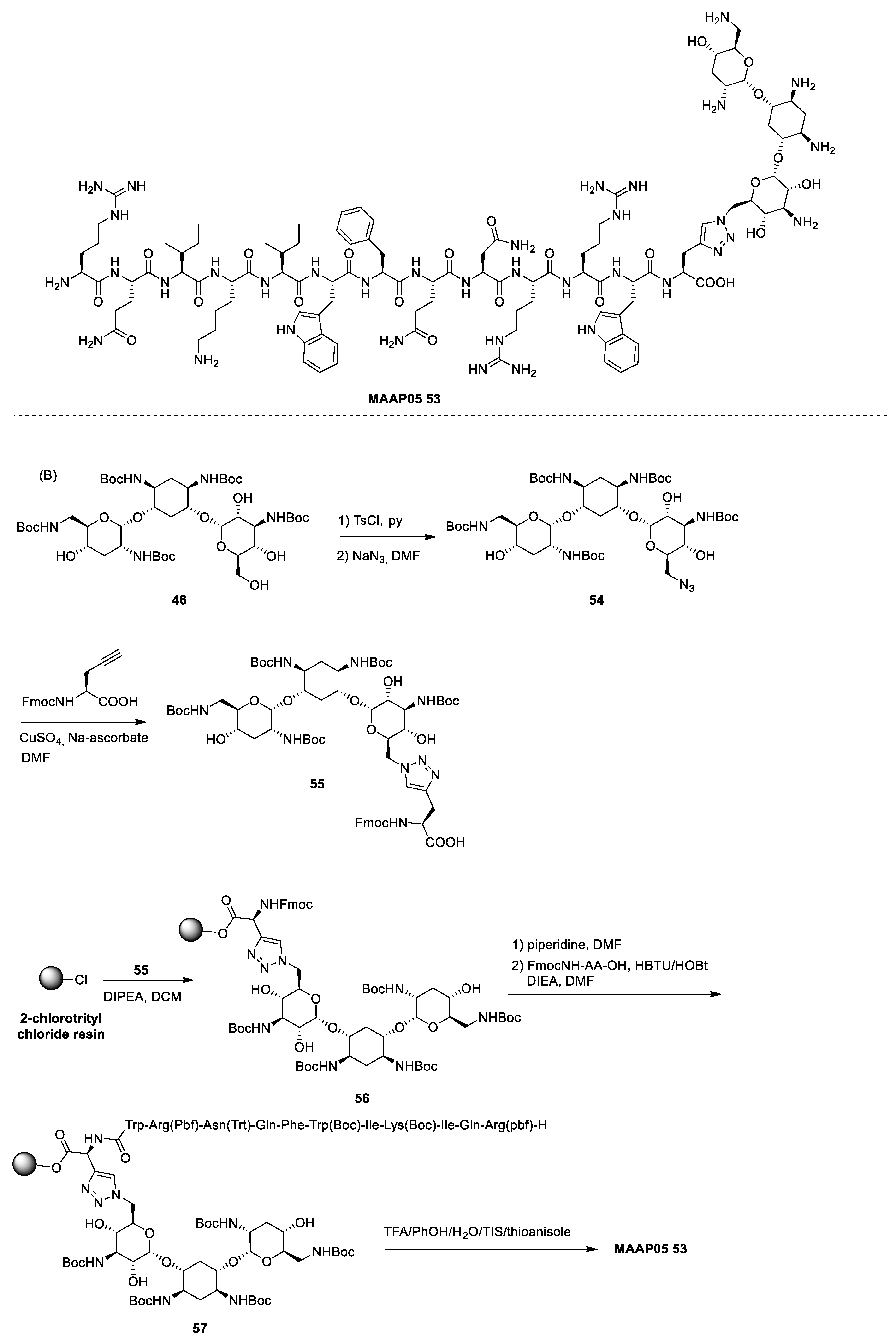 Antibiotics 13 00783 sch008b