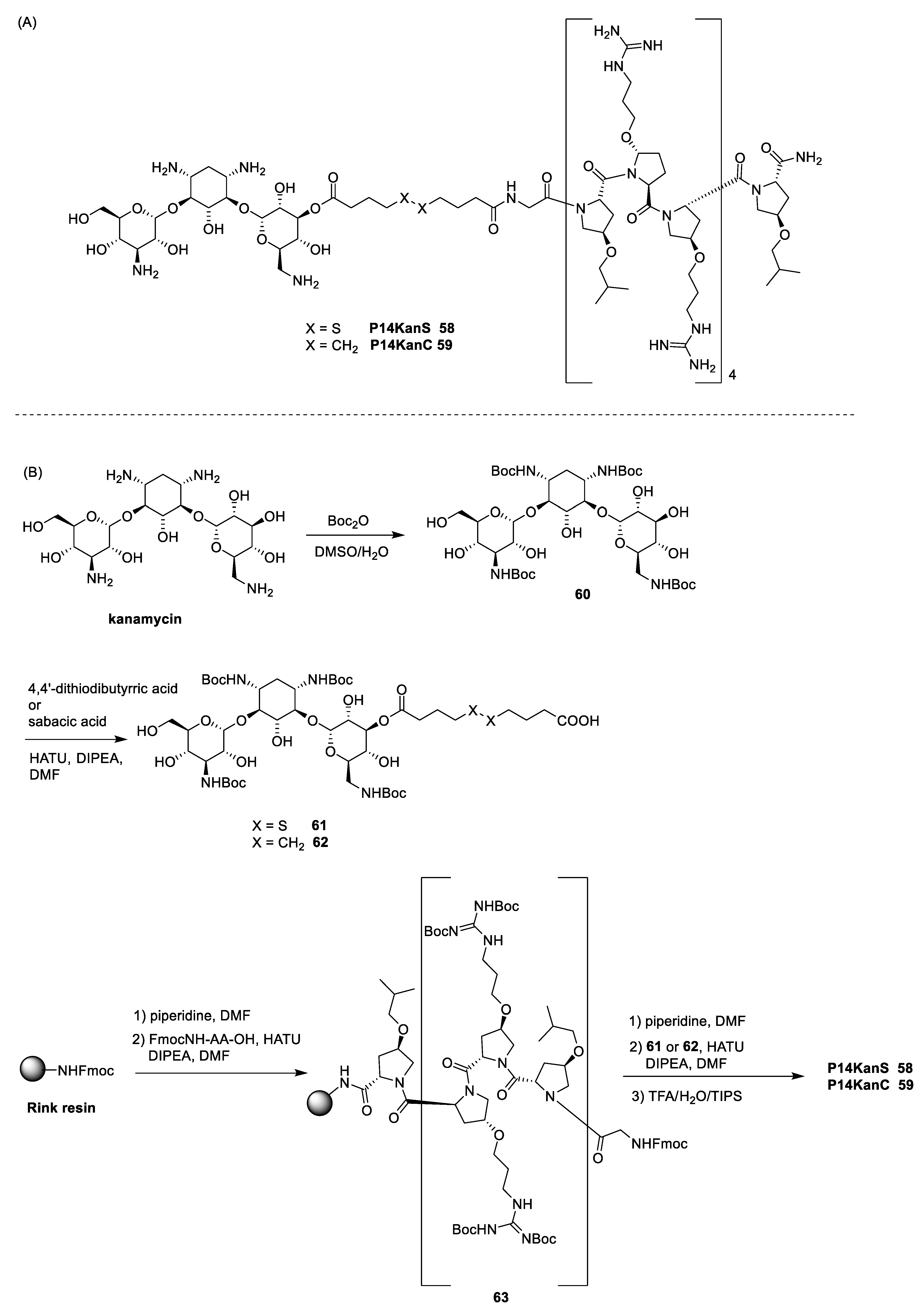 Antibiotics 13 00783 sch009