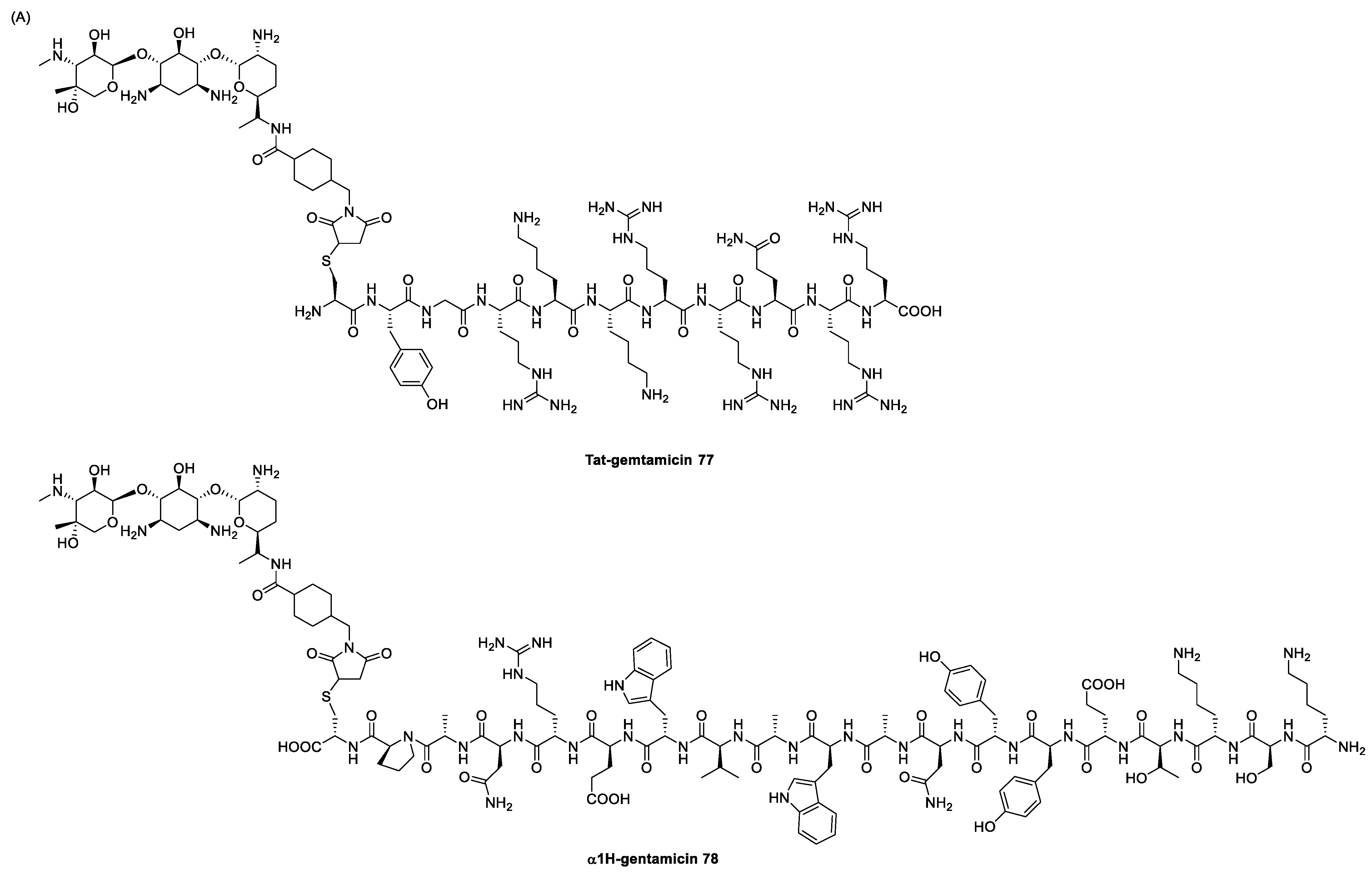 Antibiotics 13 00783 sch012a