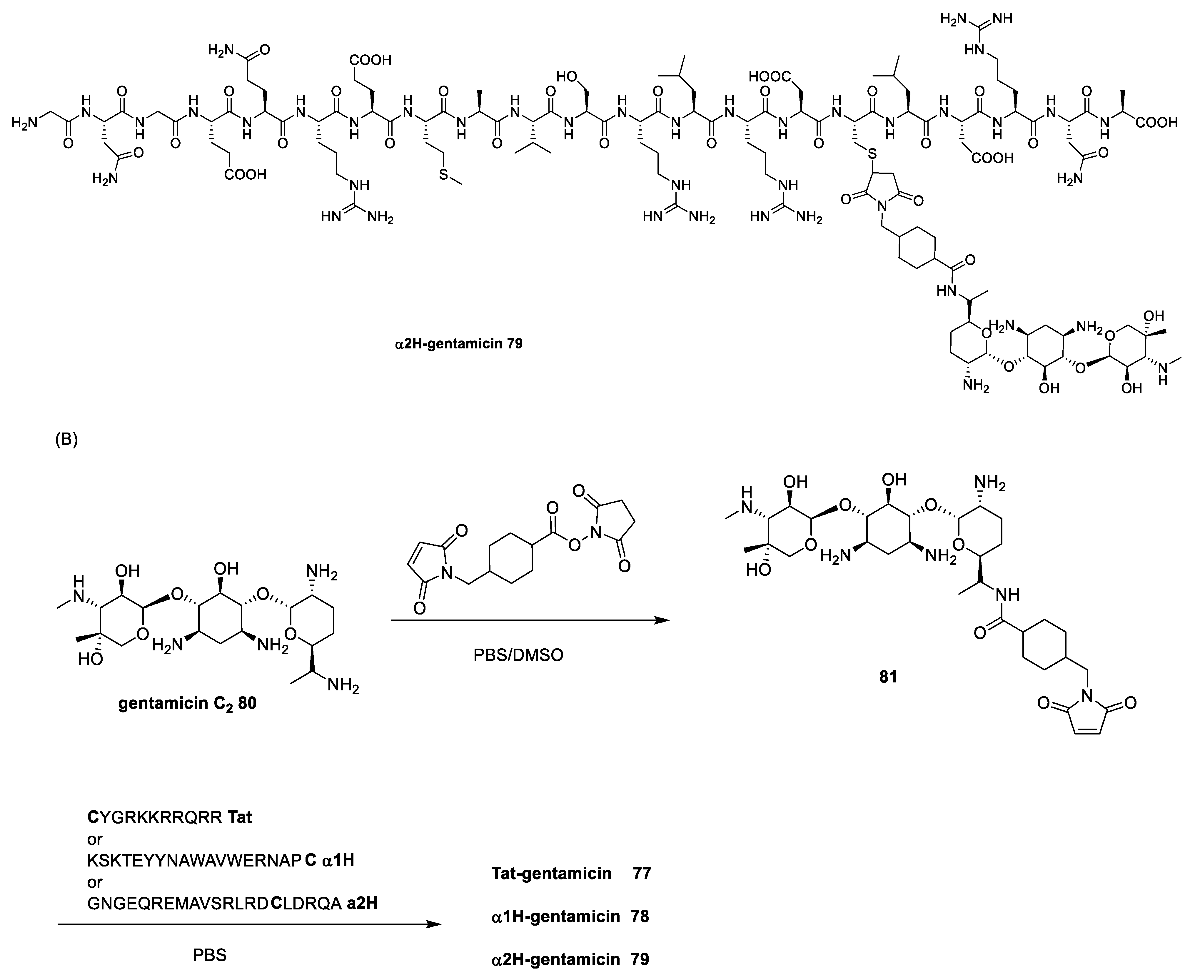 Antibiotics 13 00783 sch012b