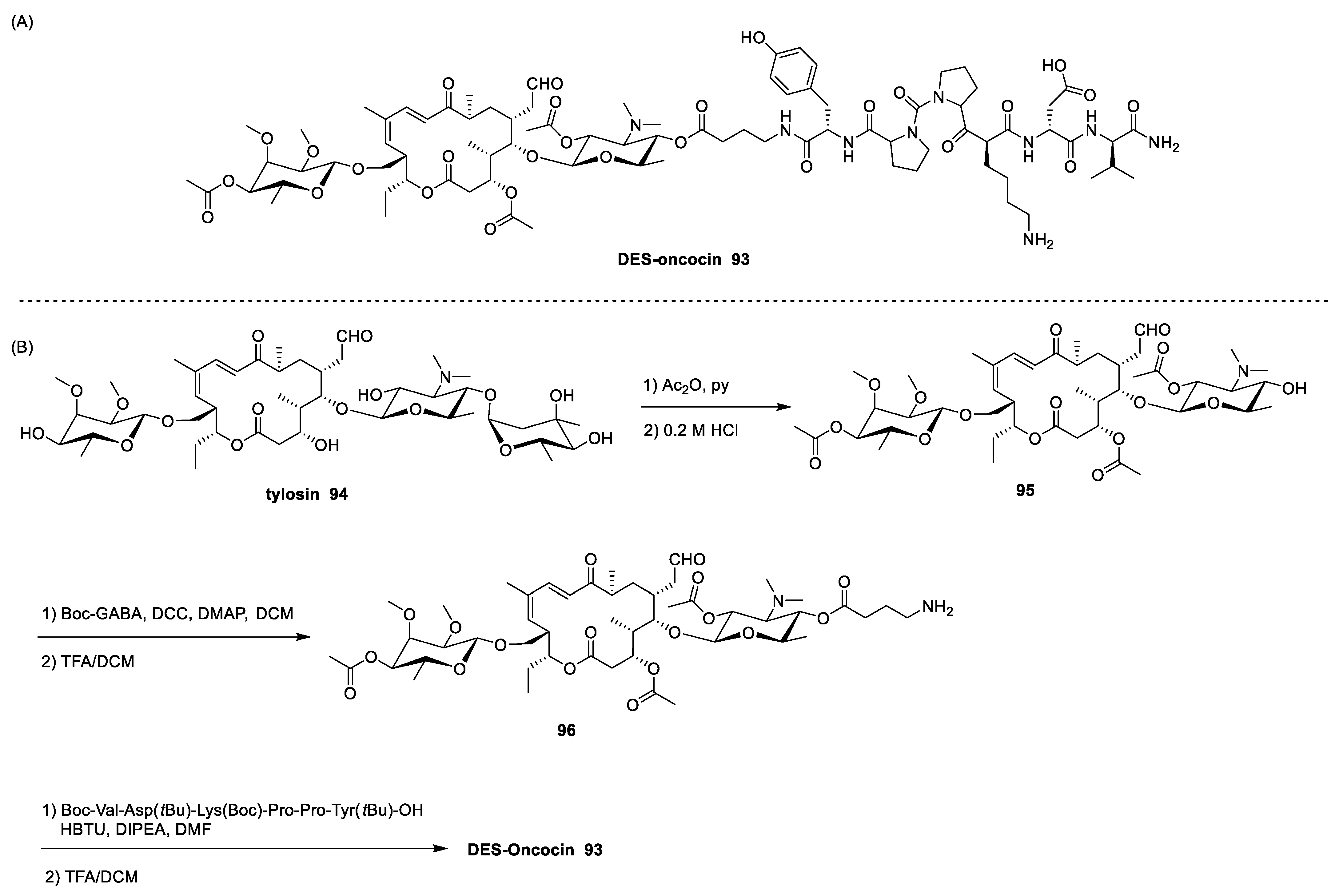 Antibiotics 13 00783 sch015