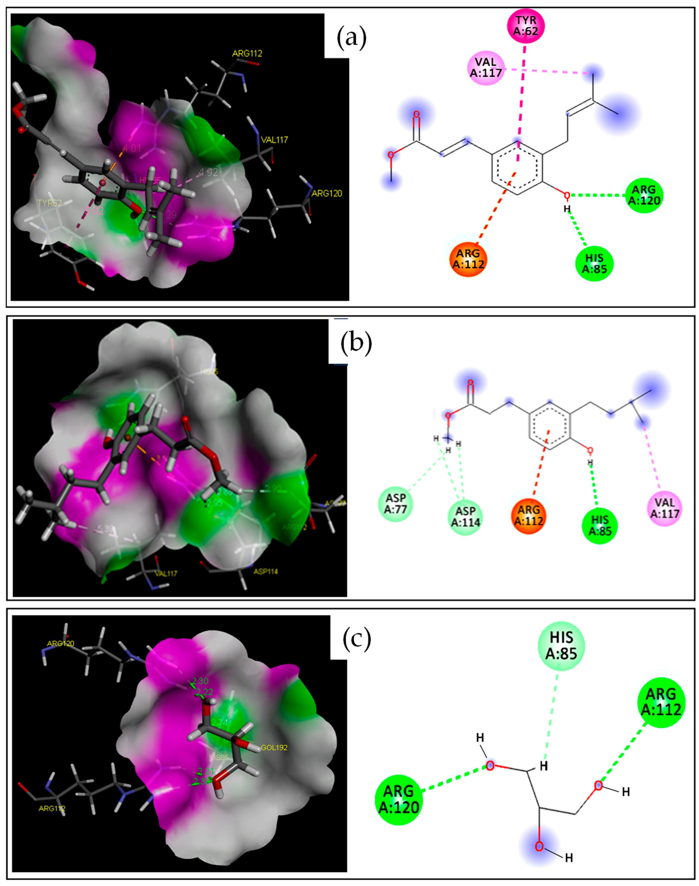 Antibiotics 13 00787 g002
