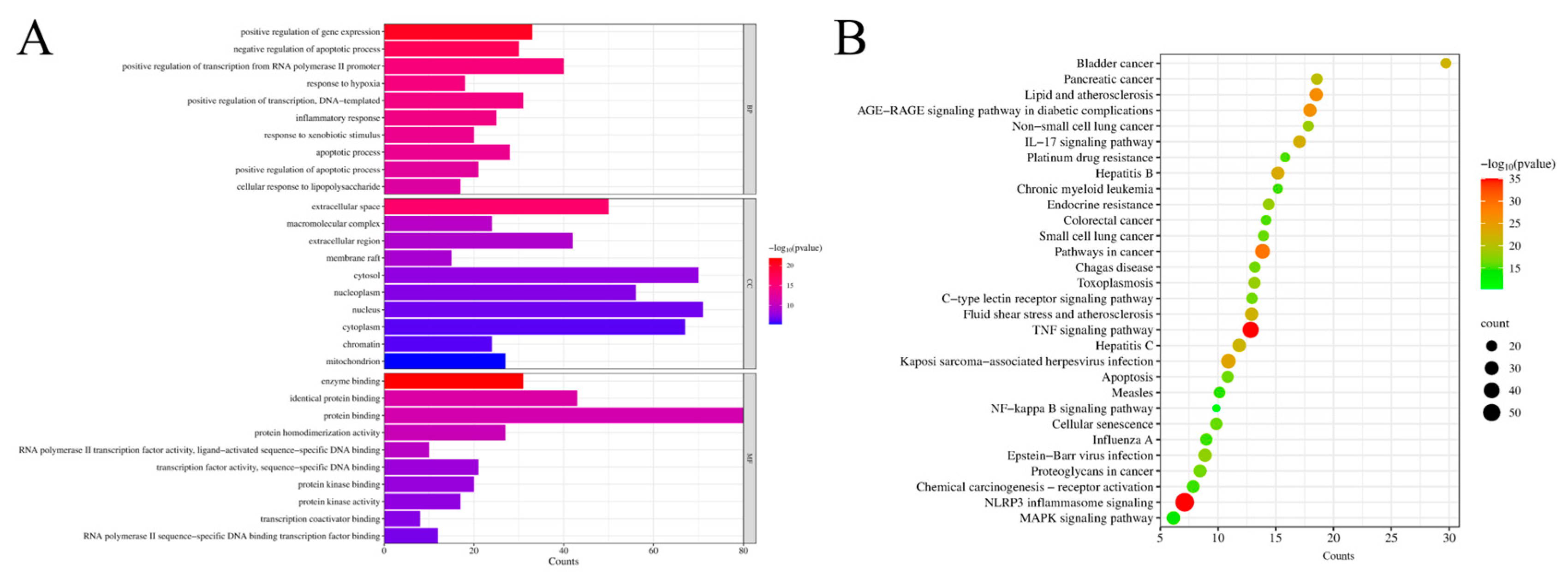 Antibiotics 13 00793 g003