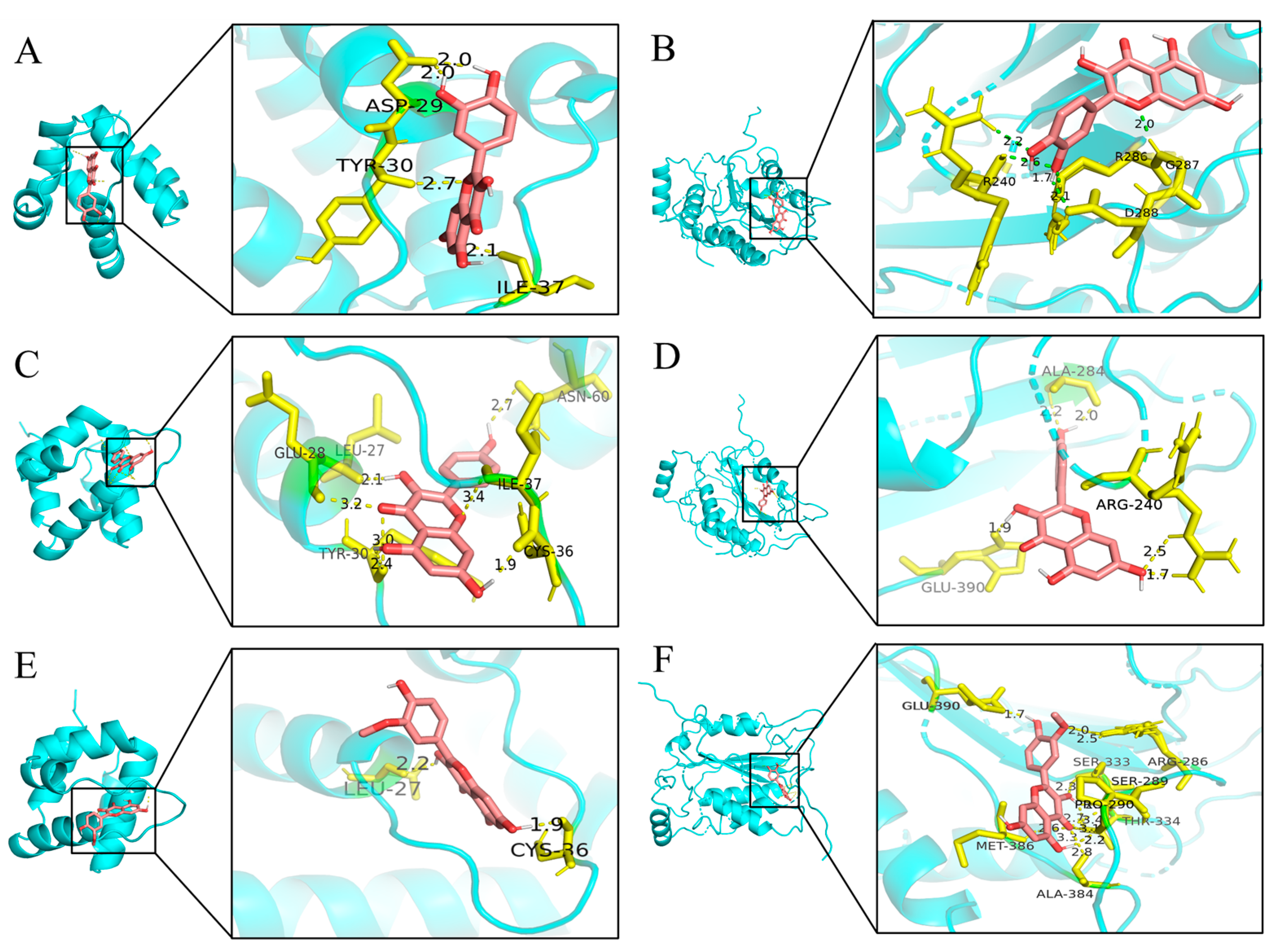 Antibiotics 13 00793 g004