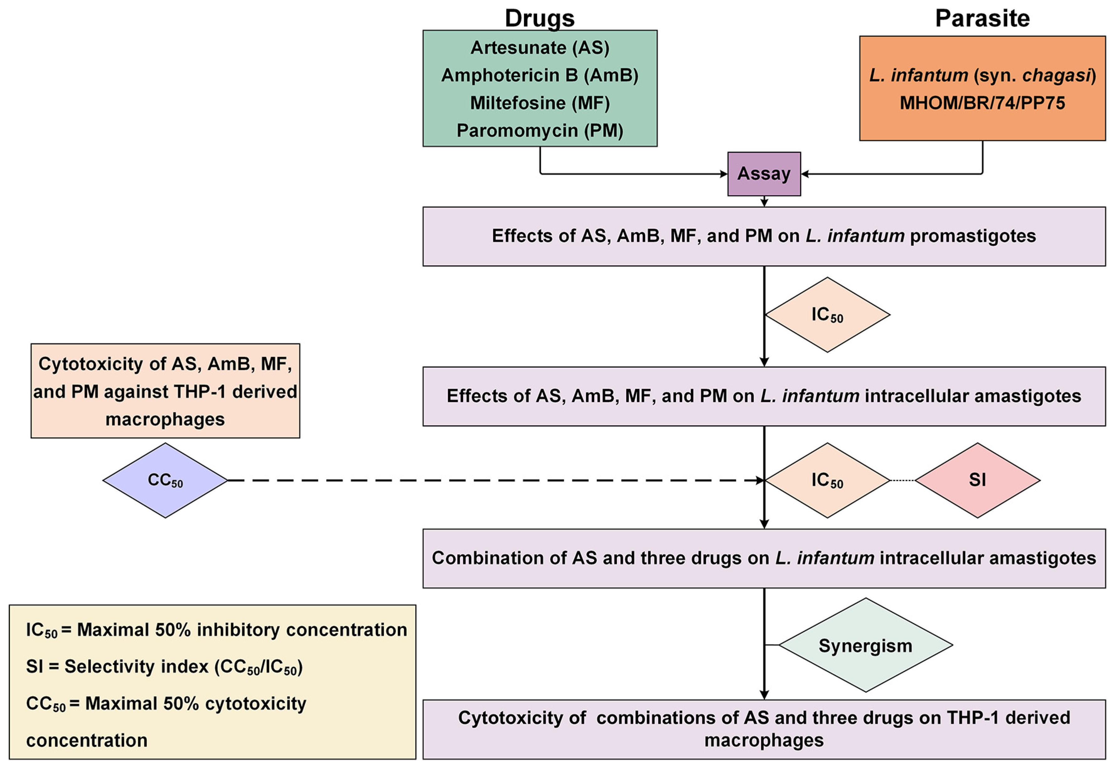 Antibiotics 13 00806 g005