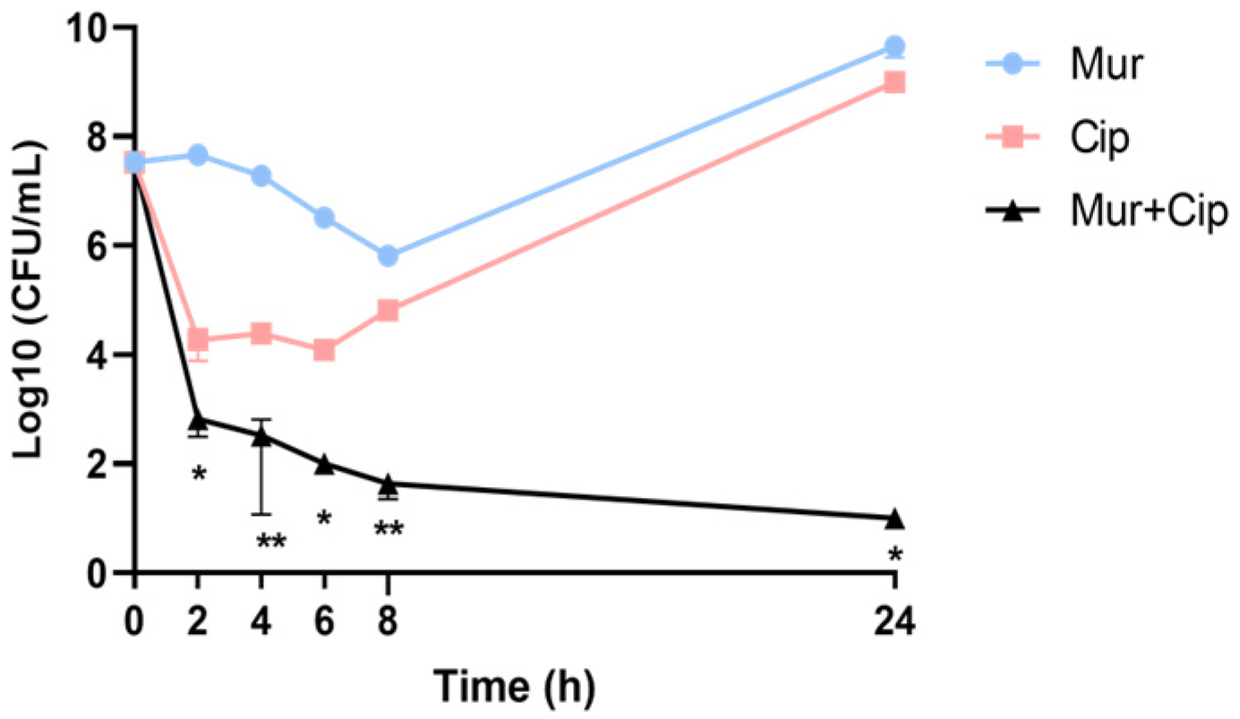 Antibiotics 13 00810 g001