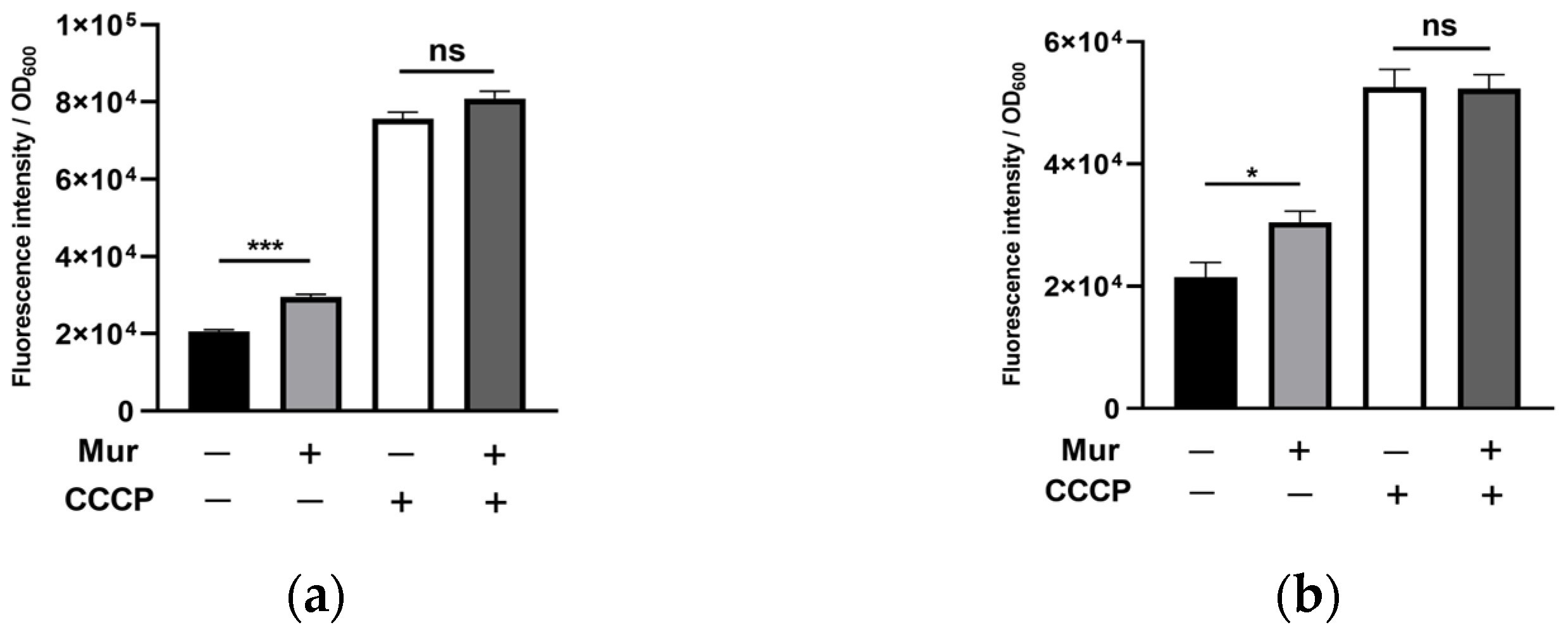 Antibiotics 13 00810 g003
