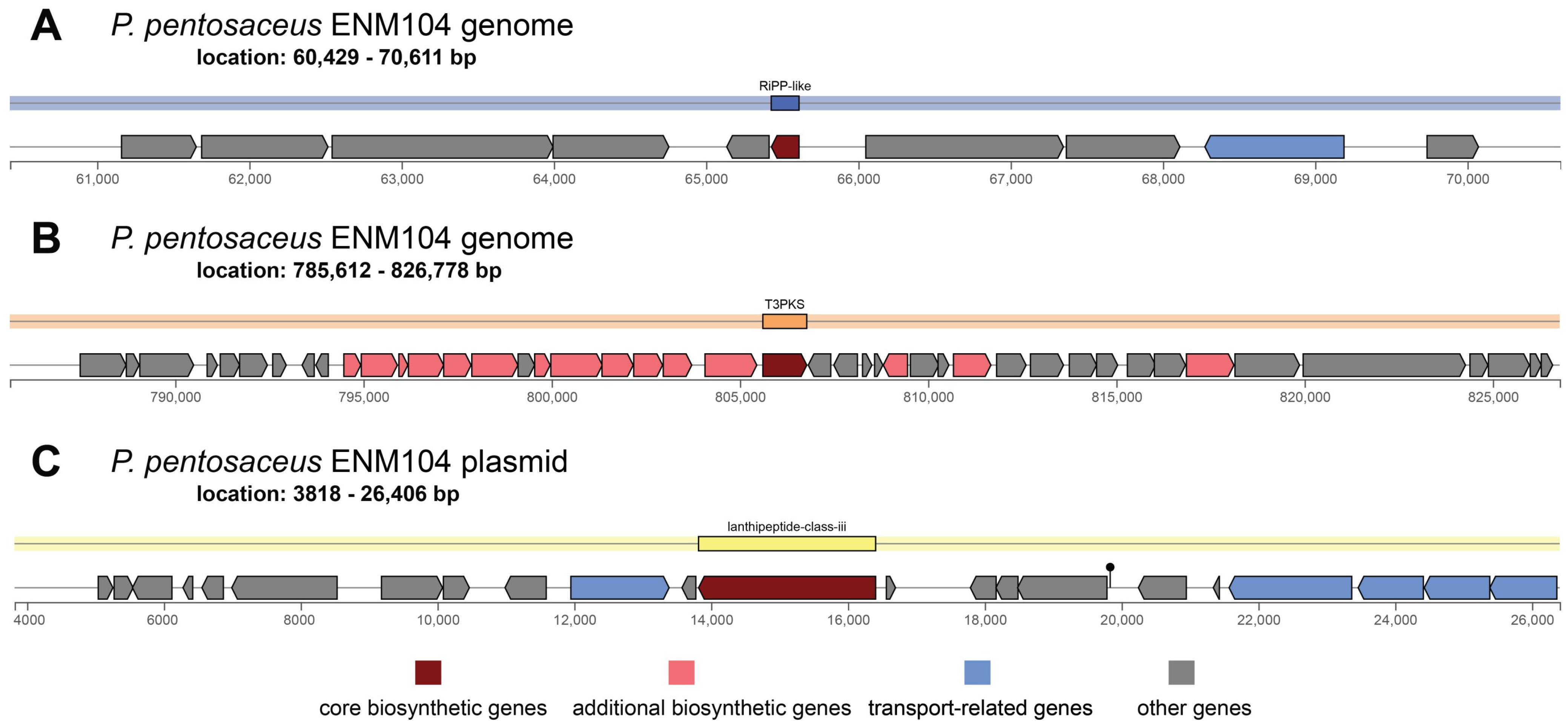 Antibiotics 13 00813 g003