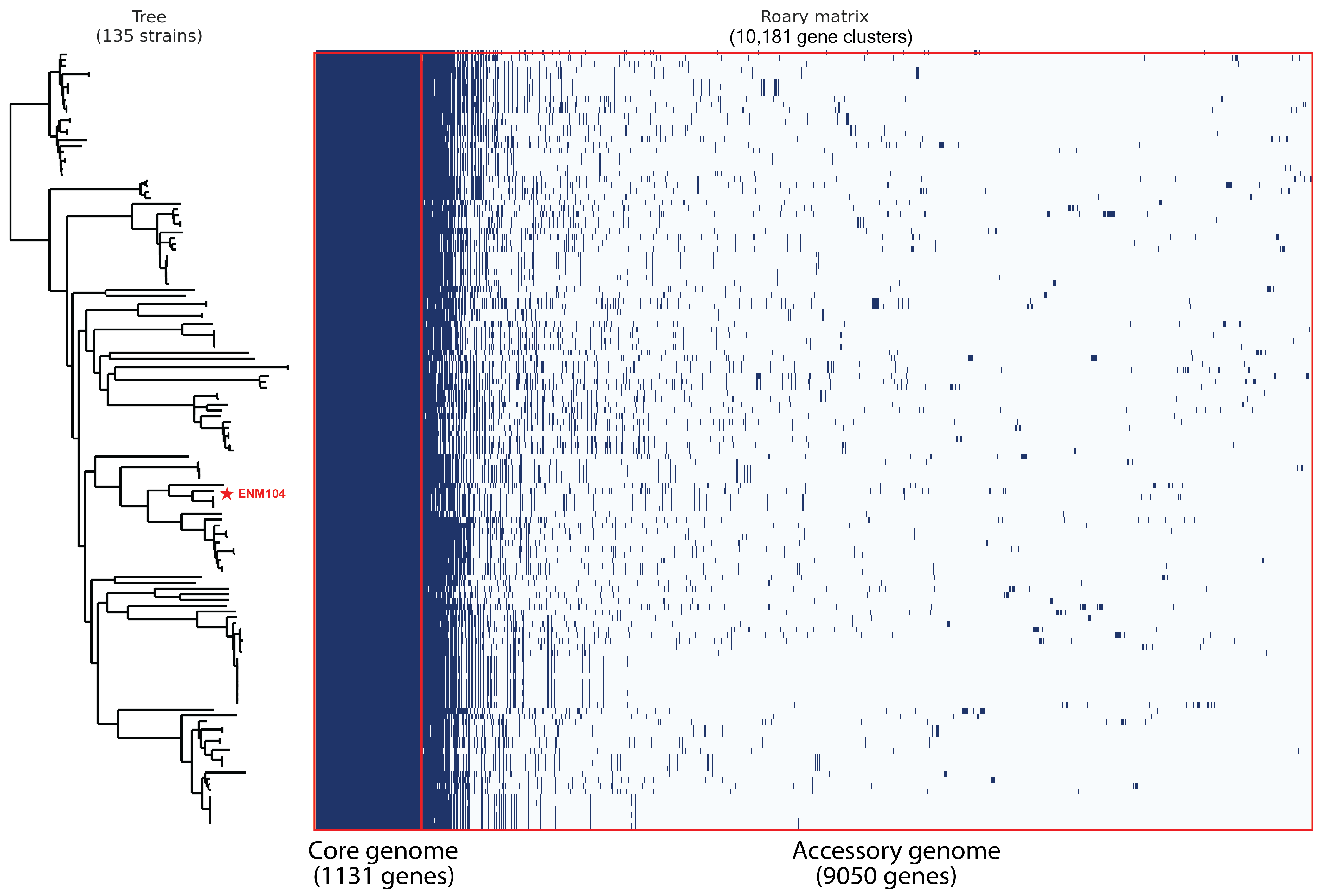 Antibiotics 13 00813 g004