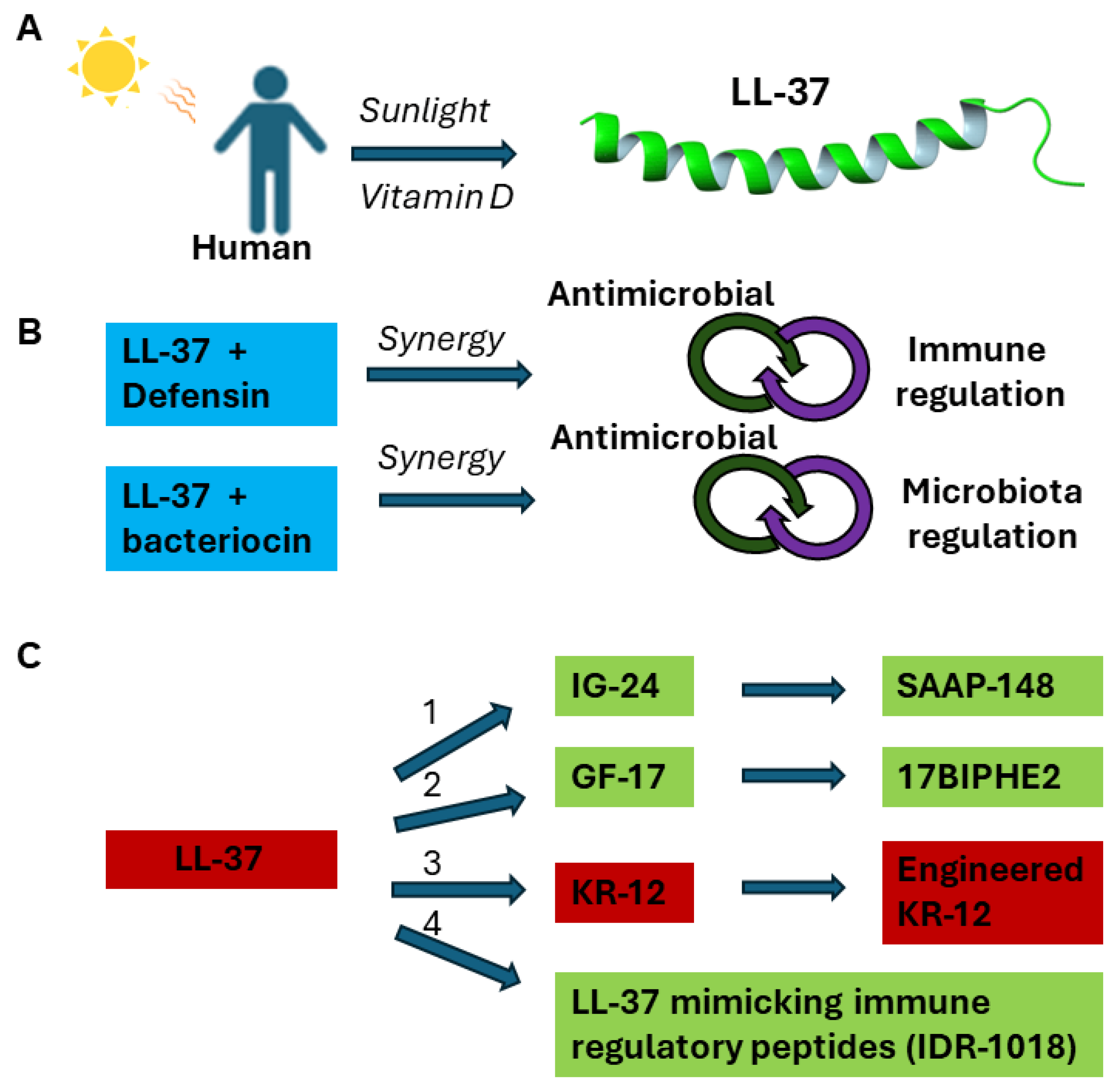 Antibiotics 13 00816 g002