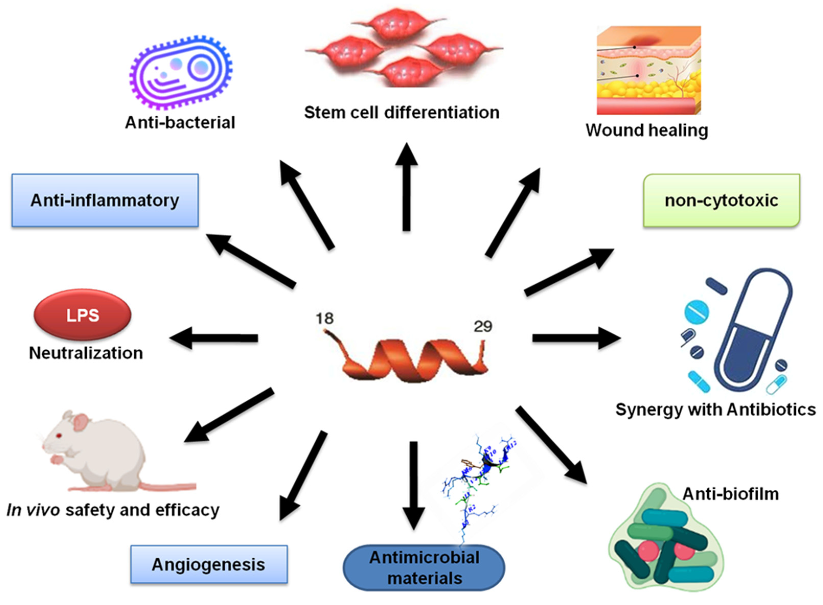 Antibiotics 13 00816 g007