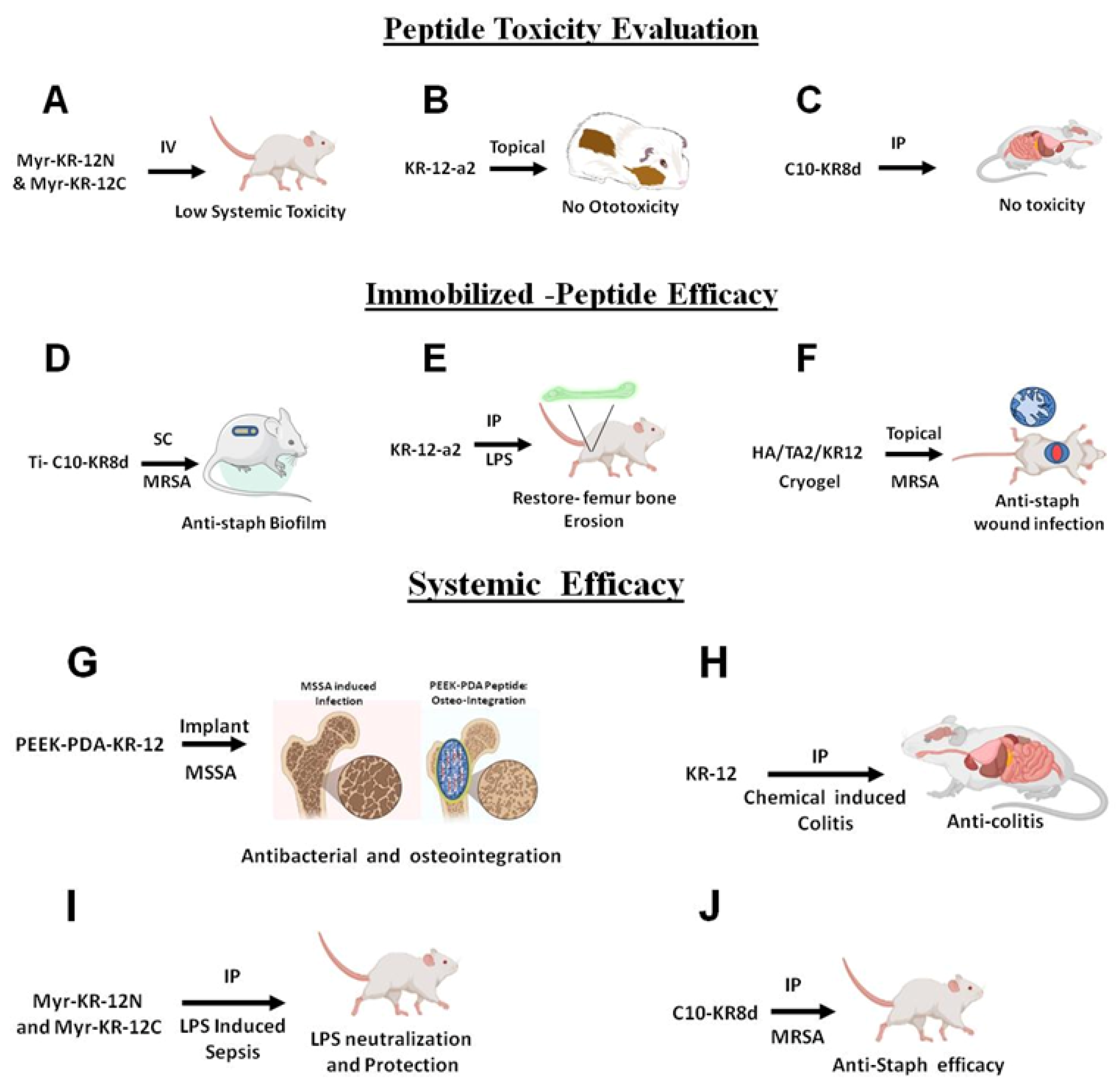 Antibiotics 13 00816 g008